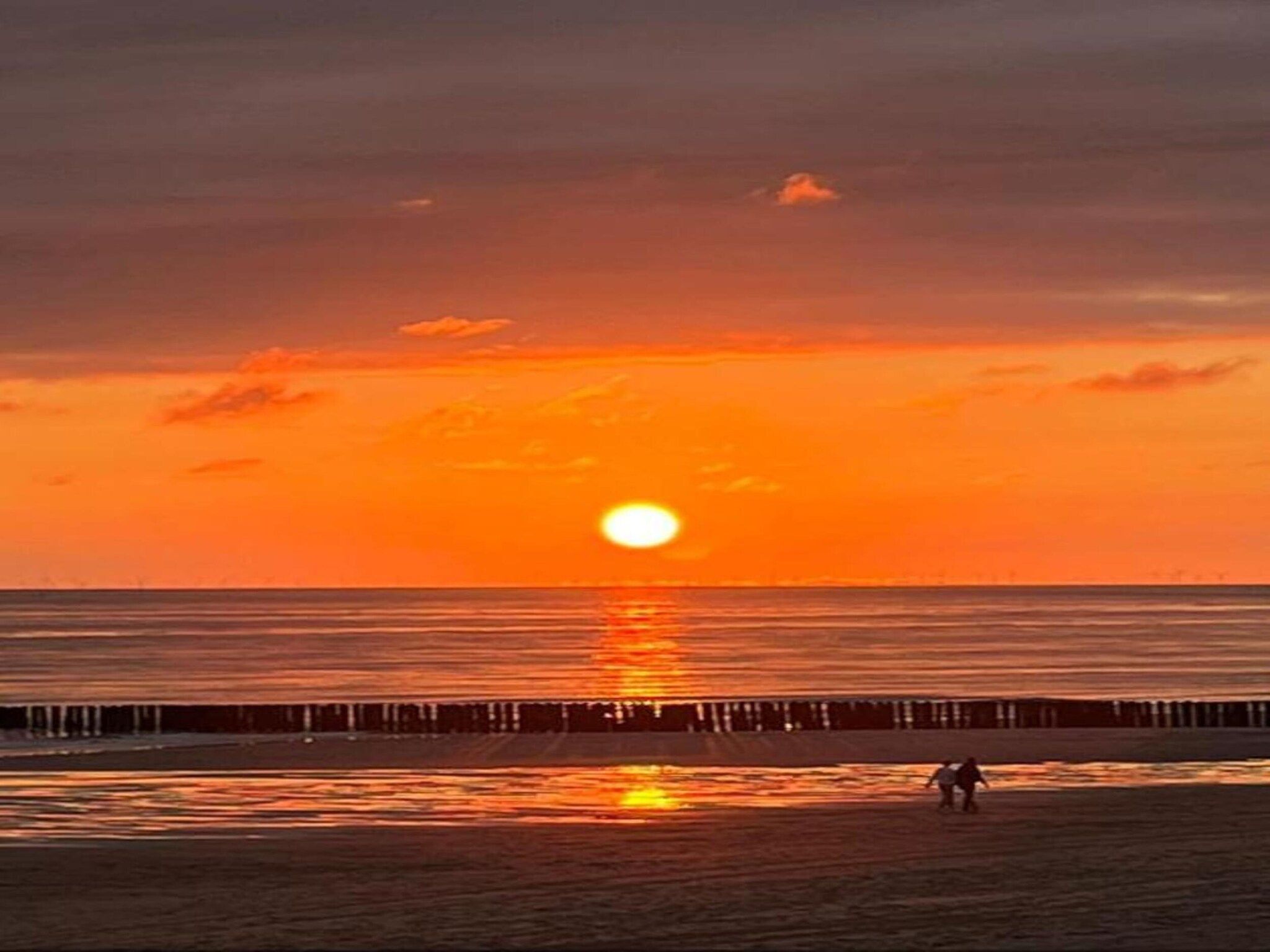 De omgeving van Noordzee Résidence Dishoek 11 in Koudekerke