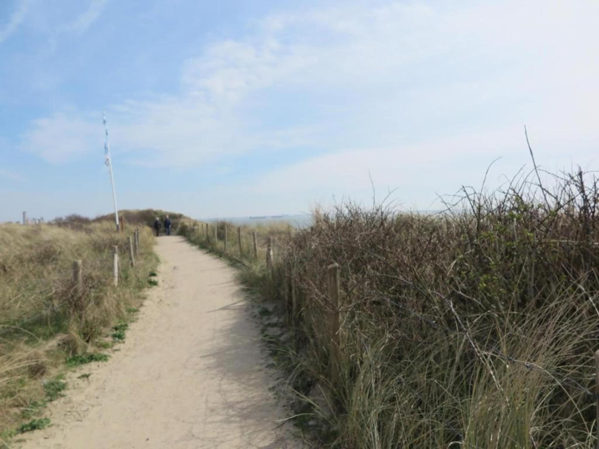 De omgeving van Noordzee Résidence Dishoek 11 in Koudekerke