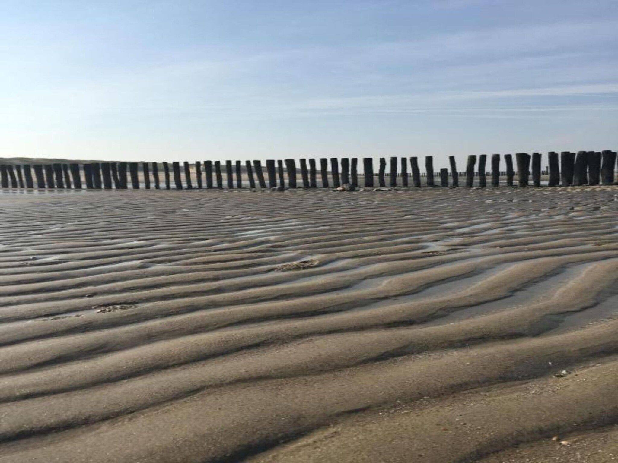 De omgeving van Noordzee Résidence Dishoek 2 in Koudekerke
