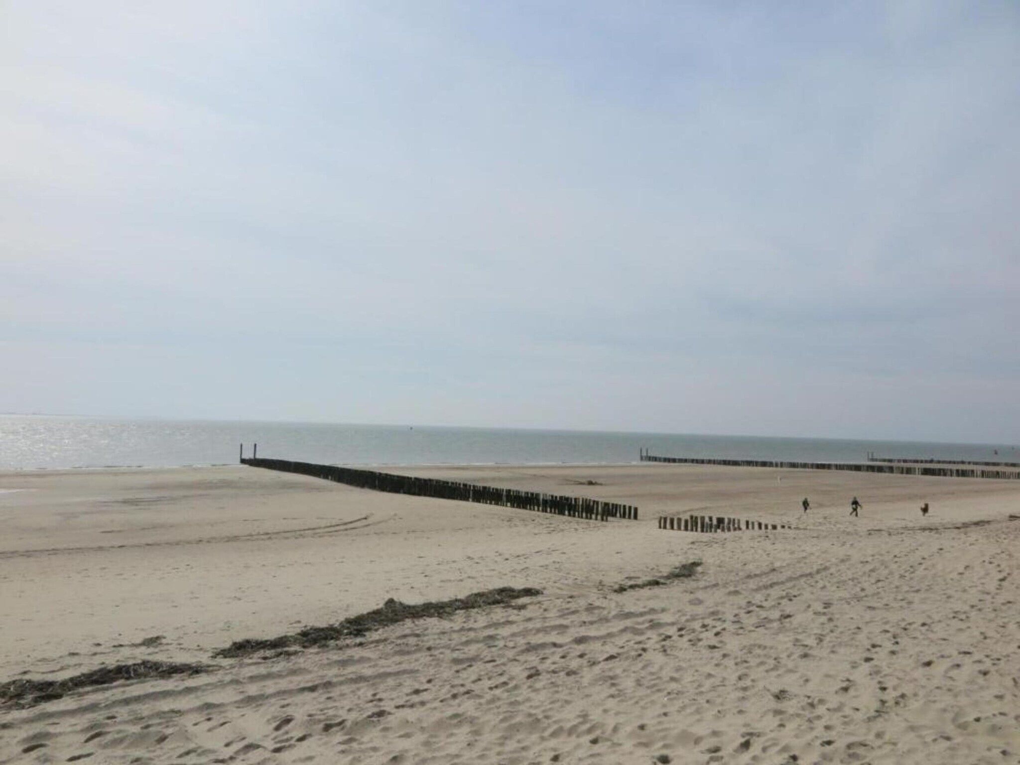 De omgeving van Noordzee Résidence Dishoek 2 in Koudekerke