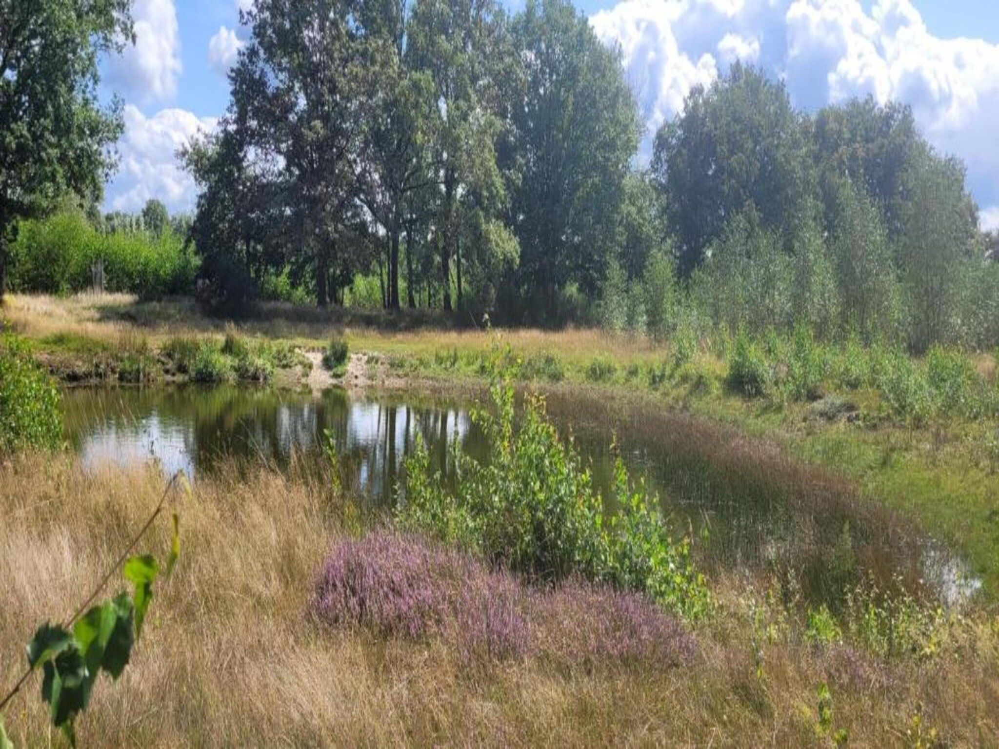 Vakantiepark Sandberghe 6 in Uden - Foto 25 van 40