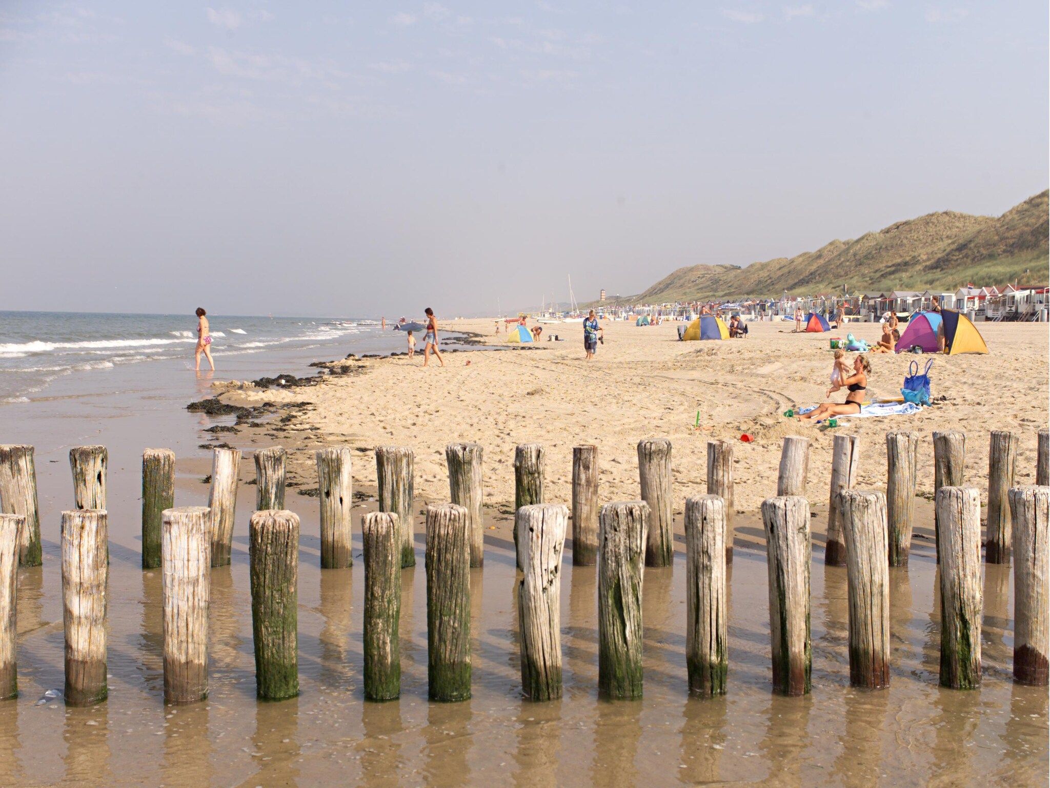 De omgeving van Noordzee Résidence Dishoek 7 in Koudekerke