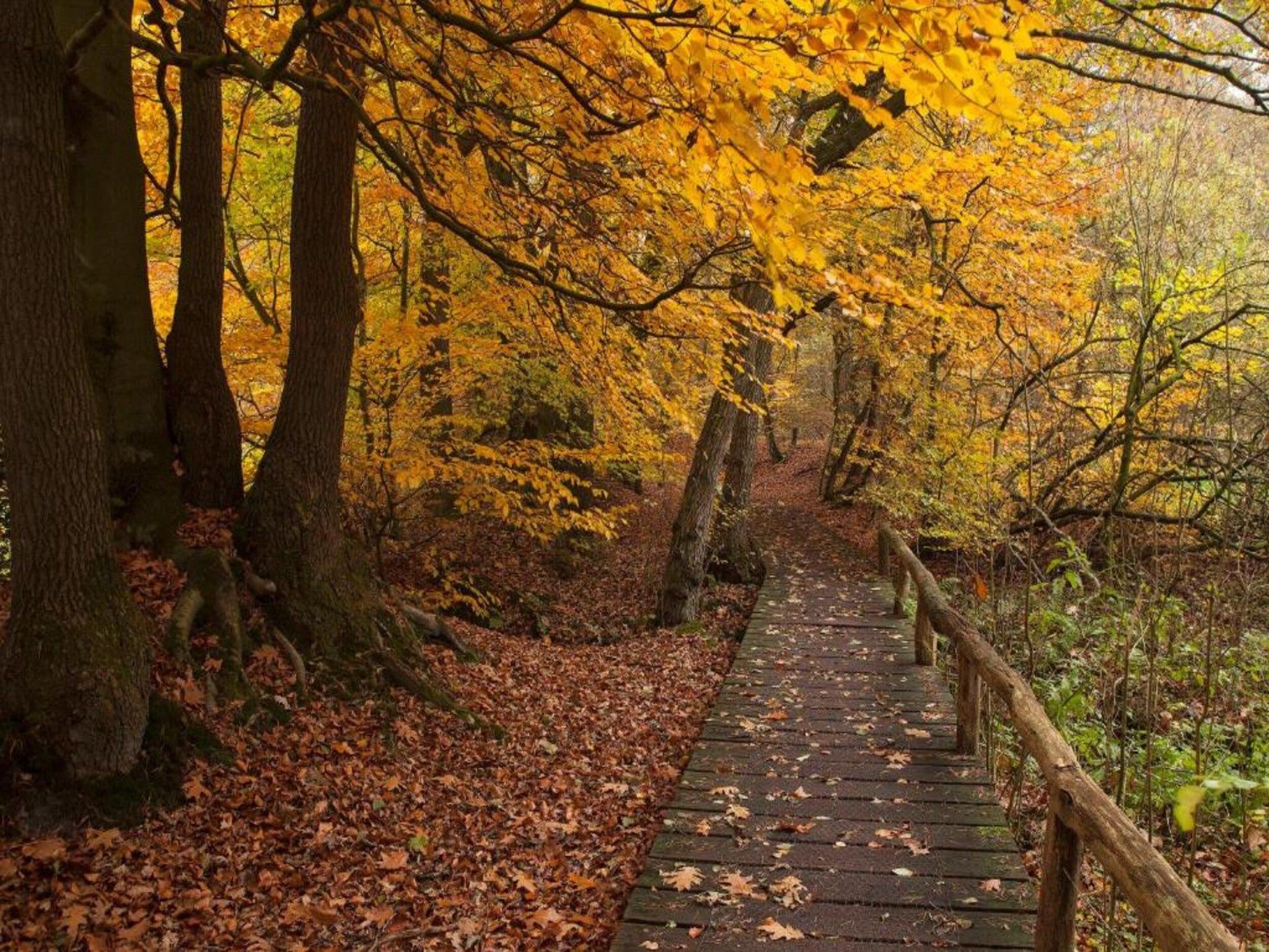 De omgeving van Chaletpark Kuiperberg 4 in Ootmarsum