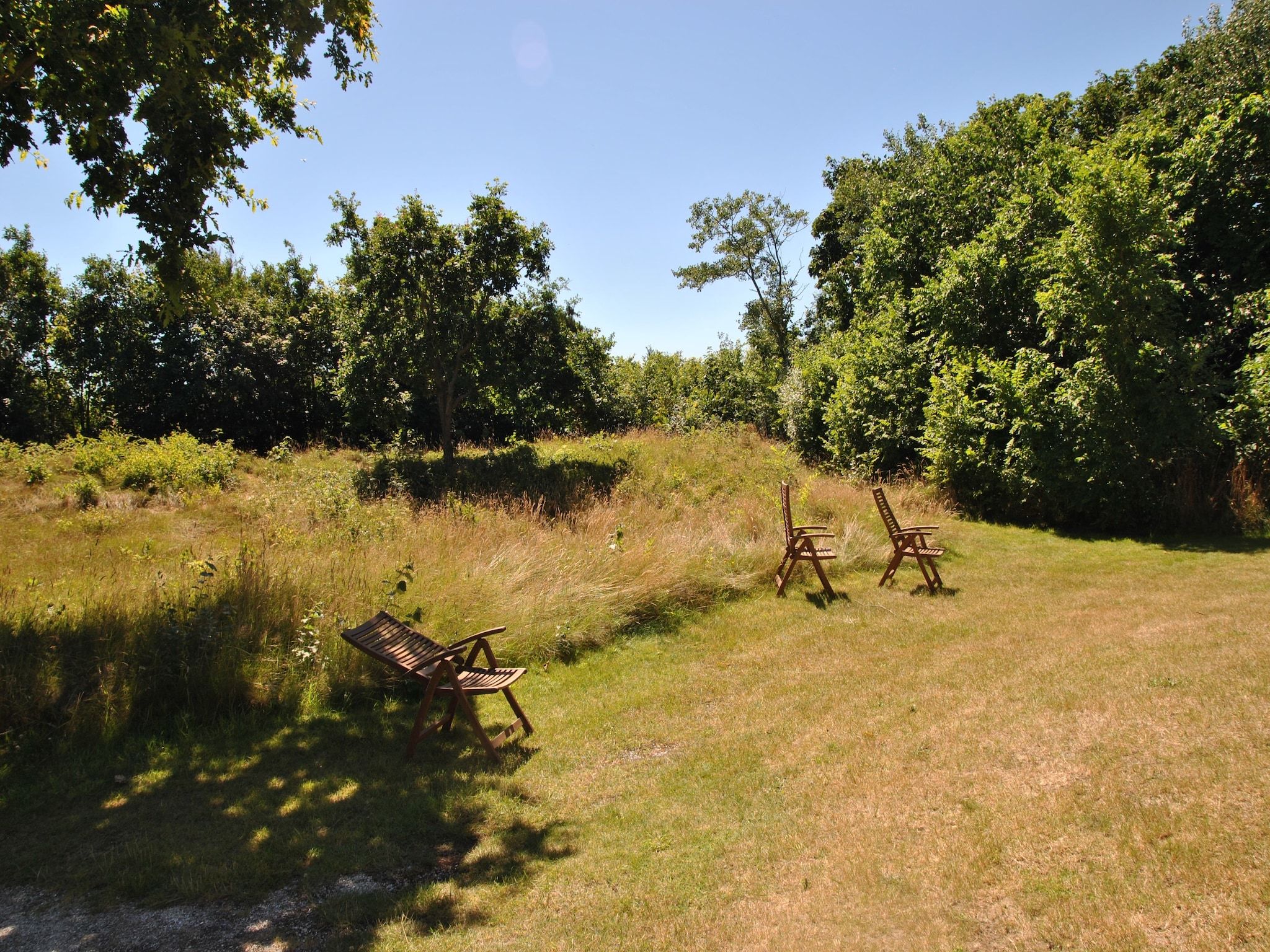 De tuin van De Kerkuil in De Cocksdorp-Texel