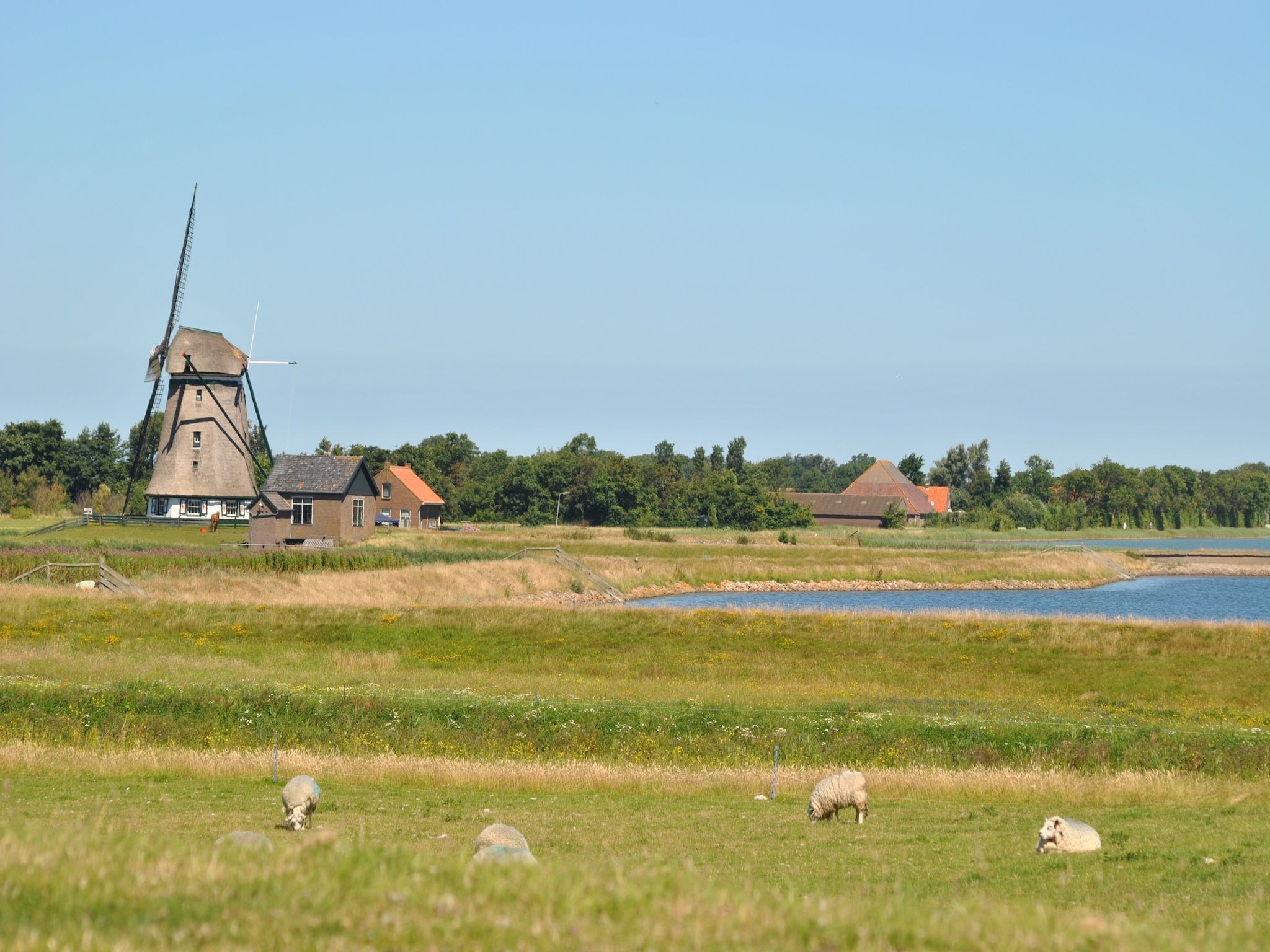 Het uitzicht vanaf Florijn 1 in Oost-Texel