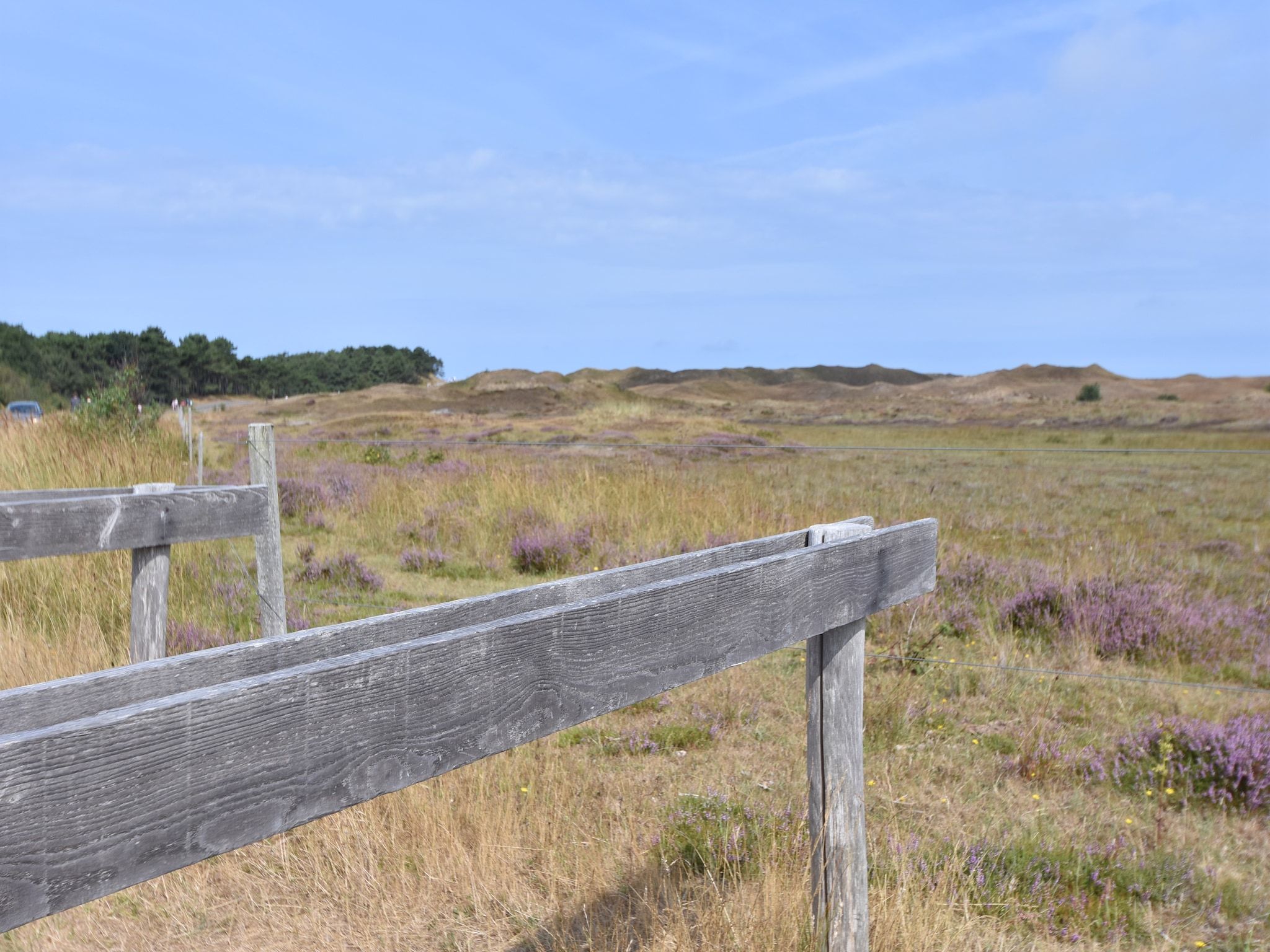 De omgeving van Florijn 1 in Oost-Texel