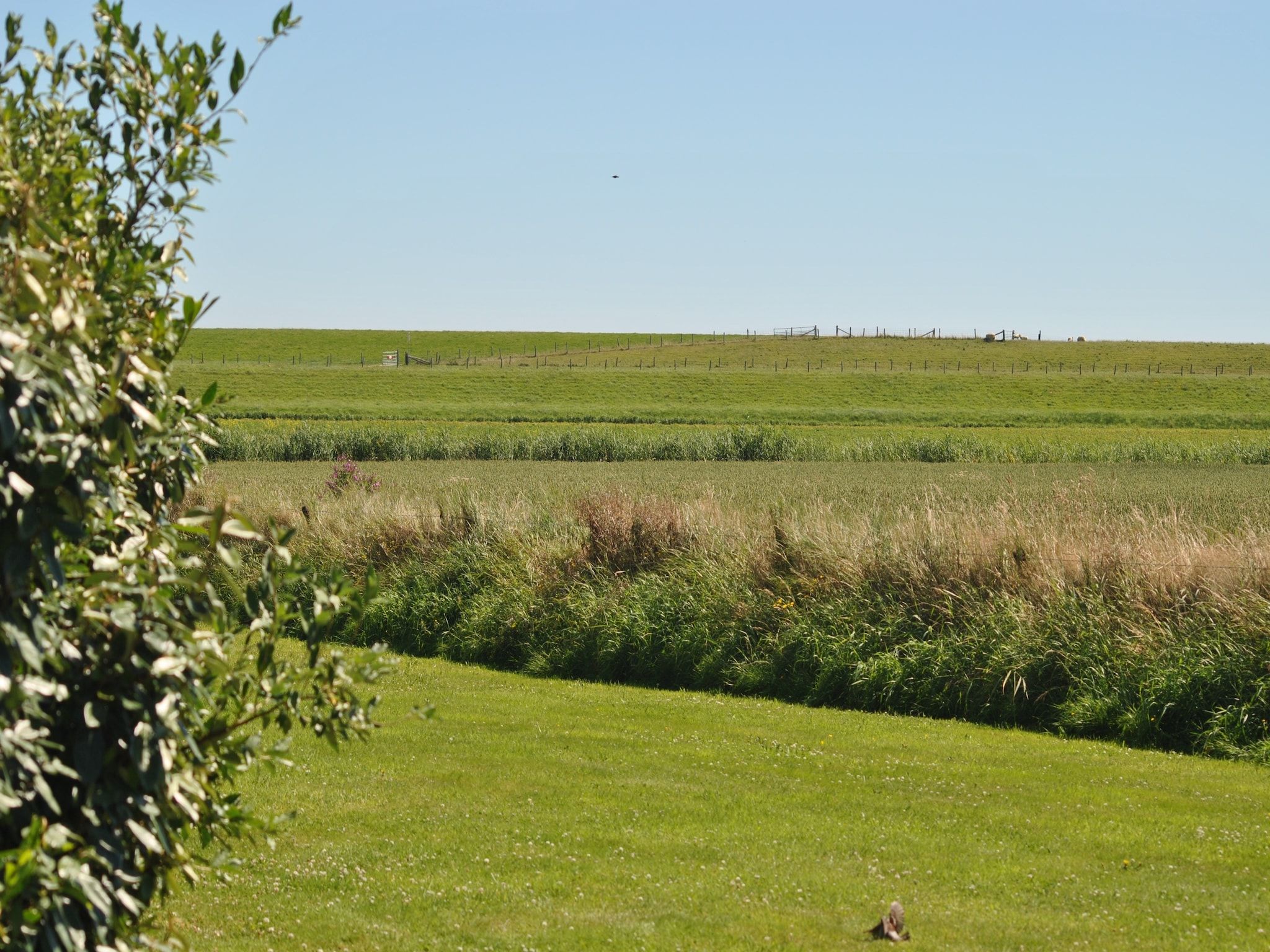 Het uitzicht vanaf Florijn 3 in Oost-Texel