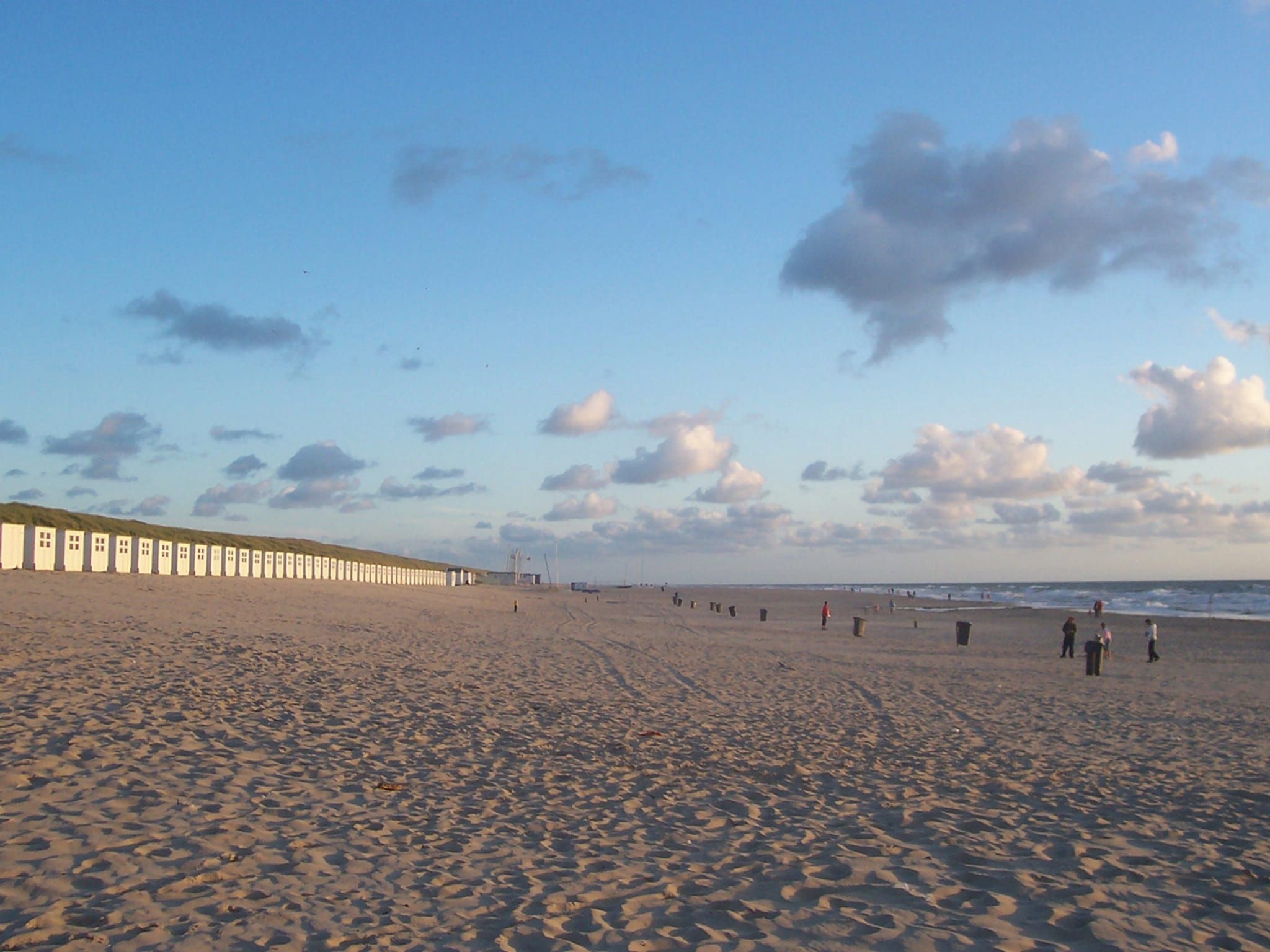 De omgeving van Florijn 4 in Oost-Texel