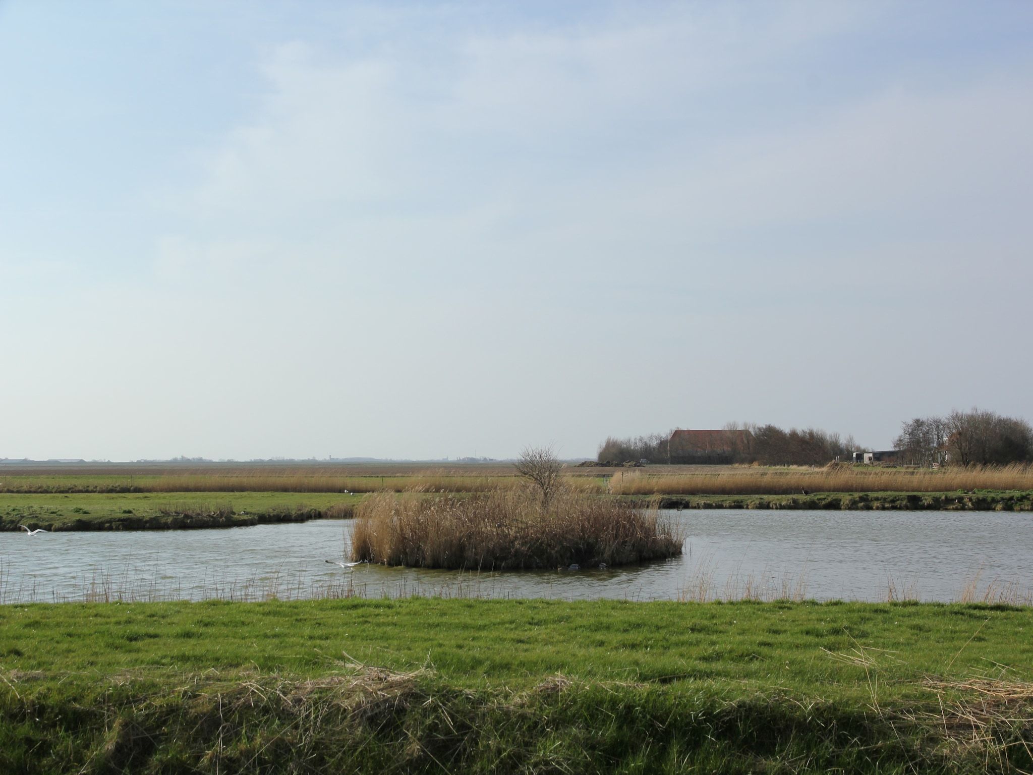 De omgeving van Villa Hoogelandt 70 in De Koog-Texel
