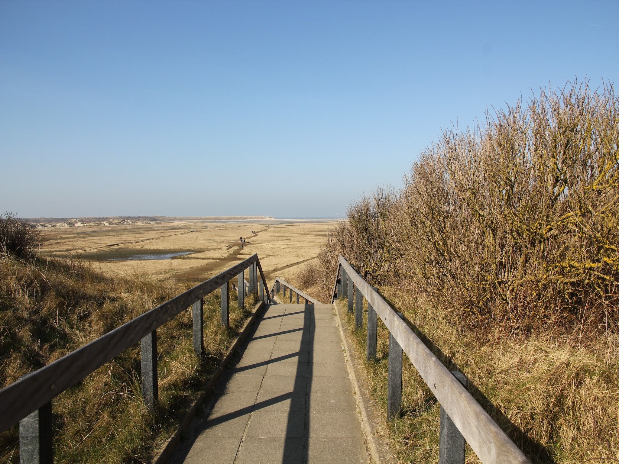 De omgeving van Villa Hoogelandt 70 in De Koog-Texel