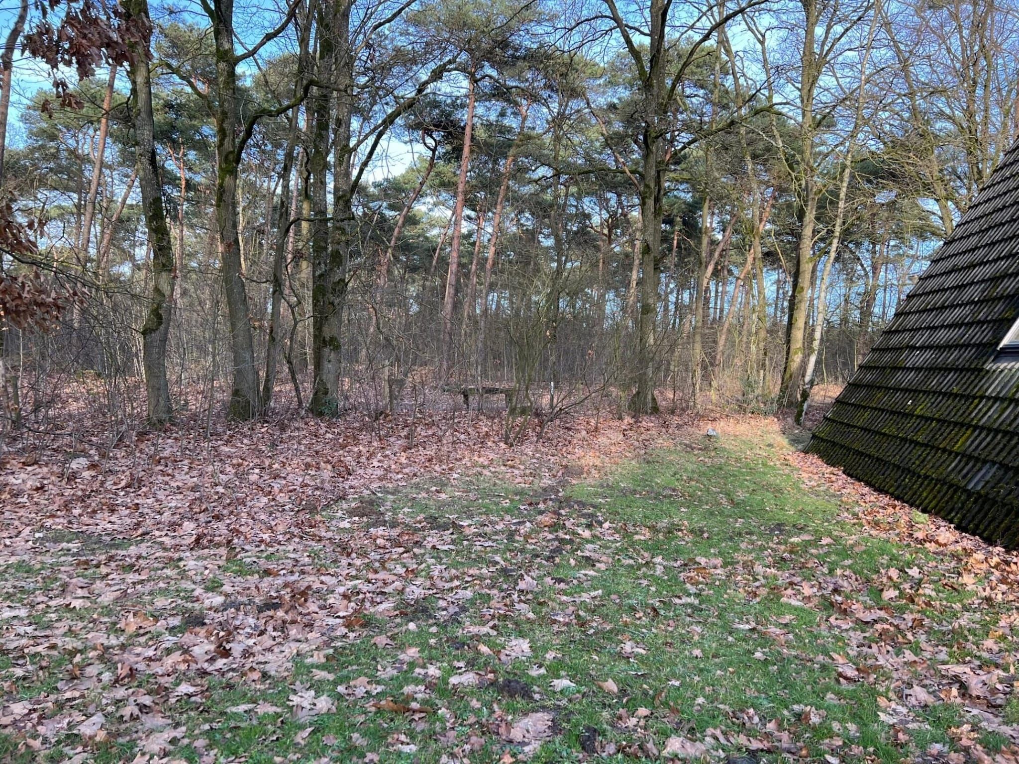 De tuin van Bungalow 69 in Stramproy
