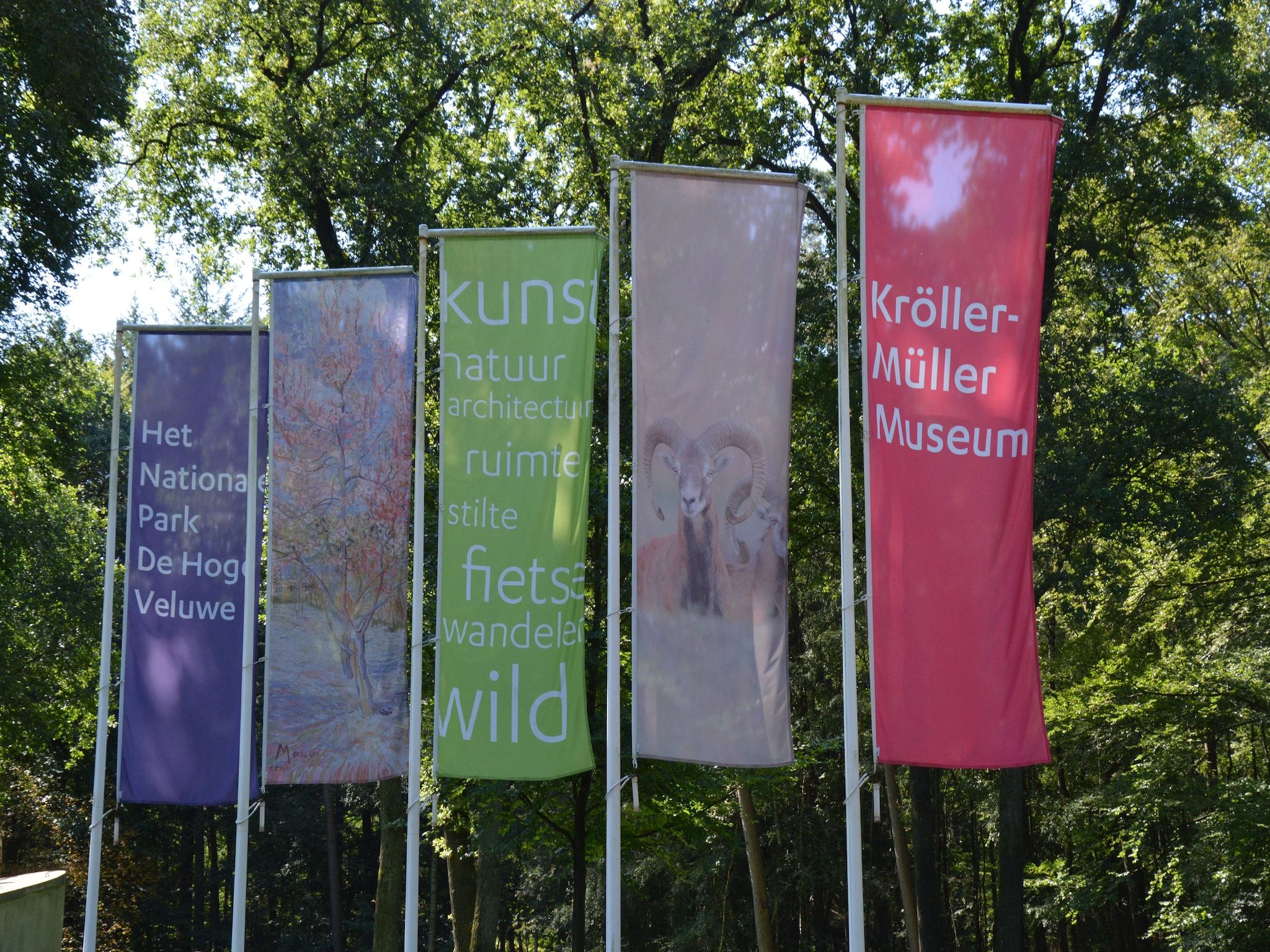 Poort naar de Veluwe in Voorthuizen - Foto 30 van 40