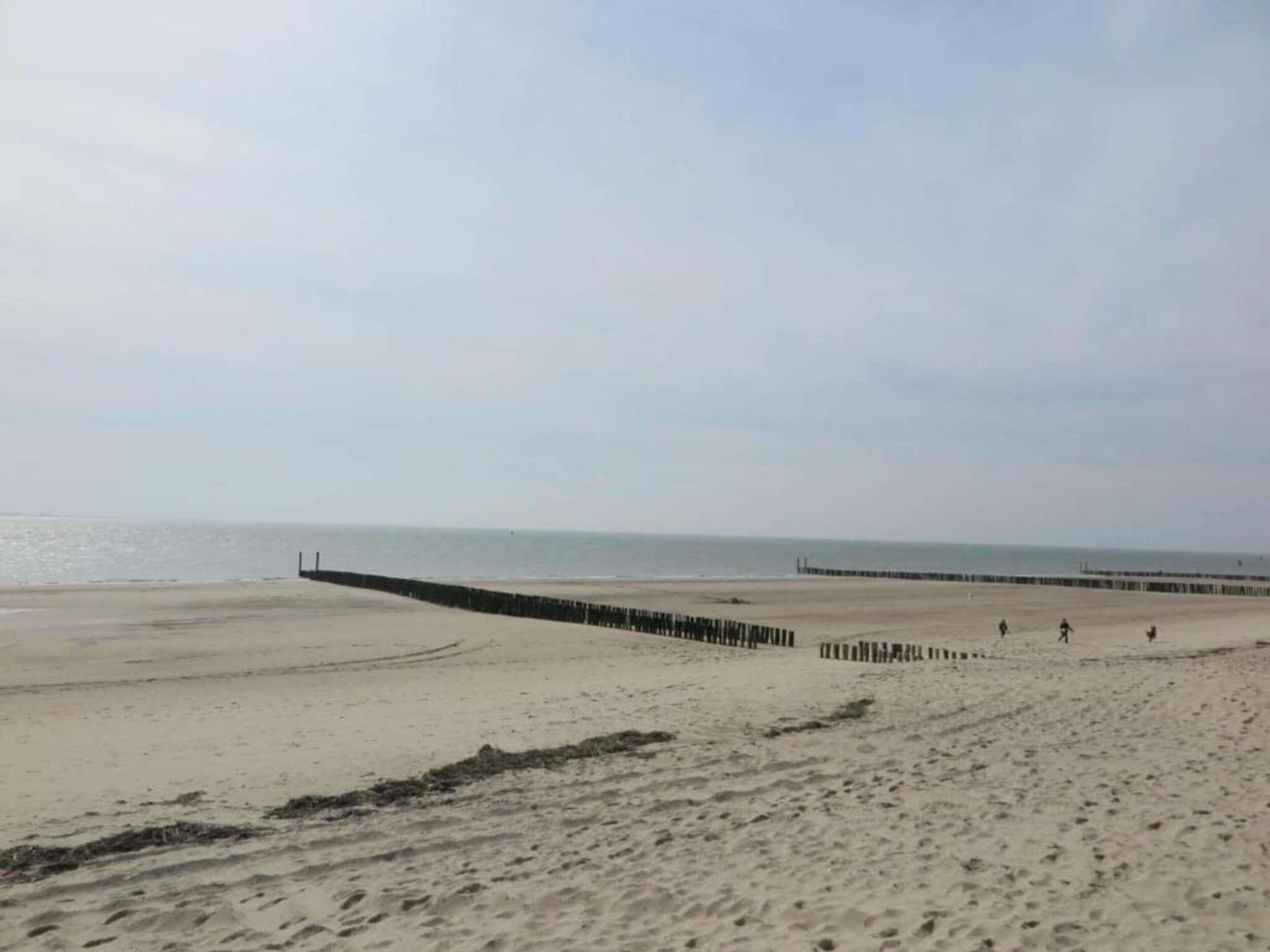 De omgeving van Noordzee Résidence Dishoek 5 in Koudekerke