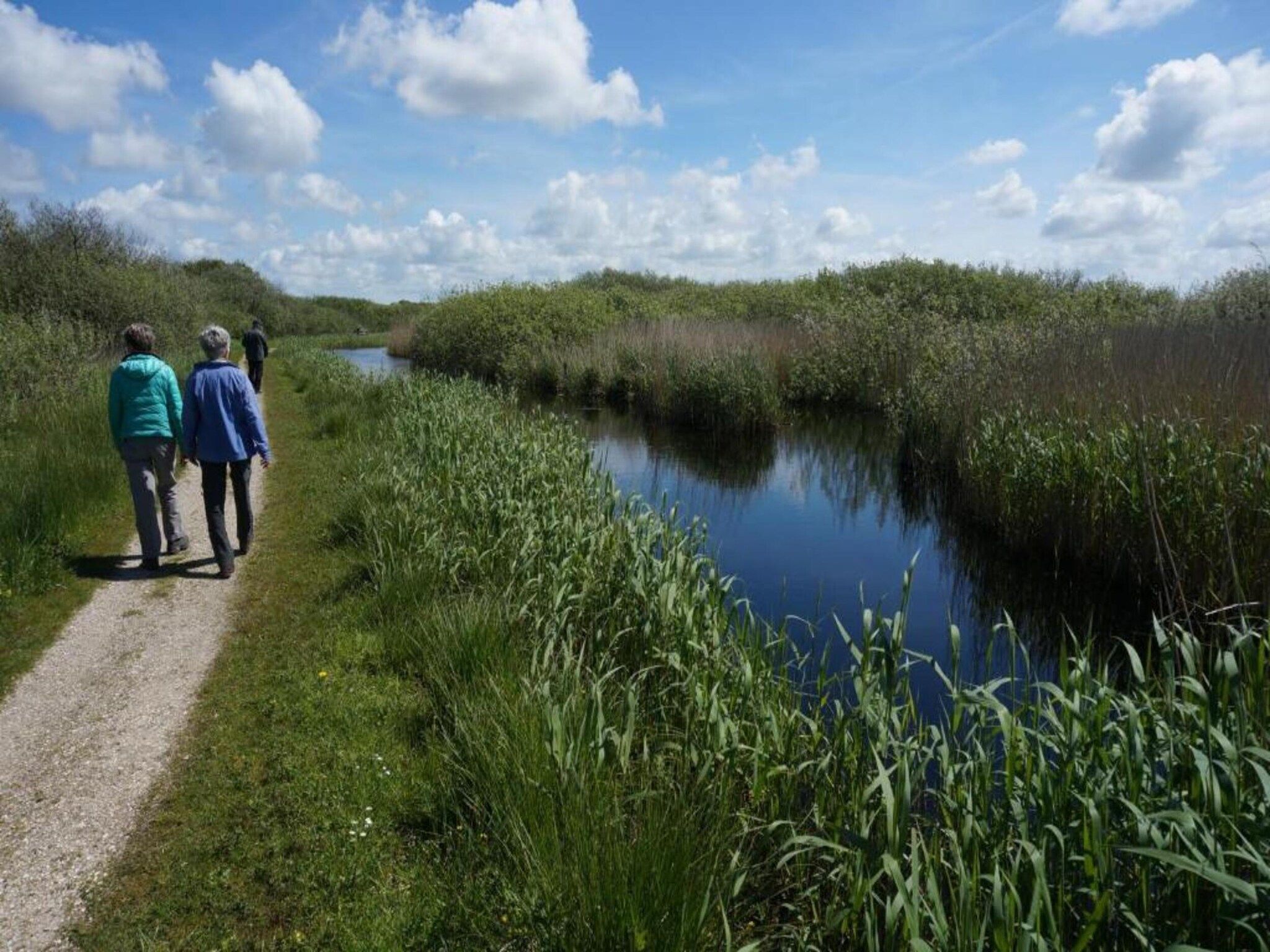 Quality Lodge aan de Duinen in Callantsoog - Foto 37 van 40