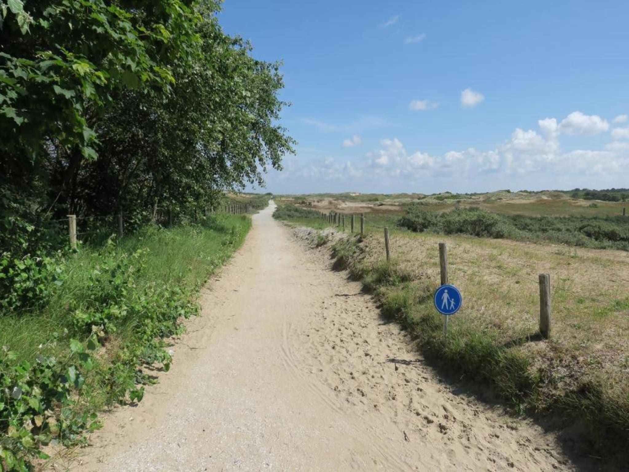 De omgeving van Bungalowpark de Gouden Spar 5 in Noordwijk