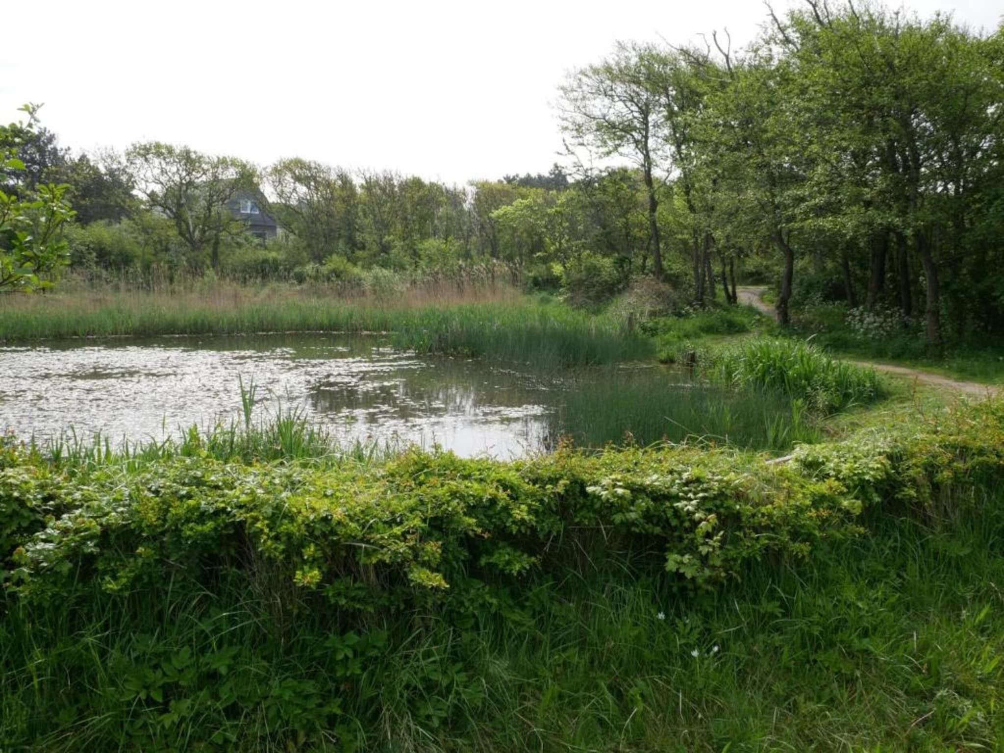 Huize Glory Turkoois in Bergen aan Zee - Foto 30 van 33