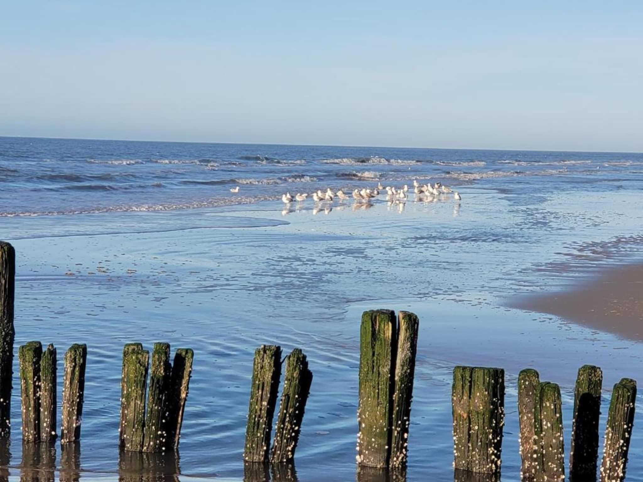 Huize Glory Smaragd in Bergen aan Zee - Foto 38 van 40