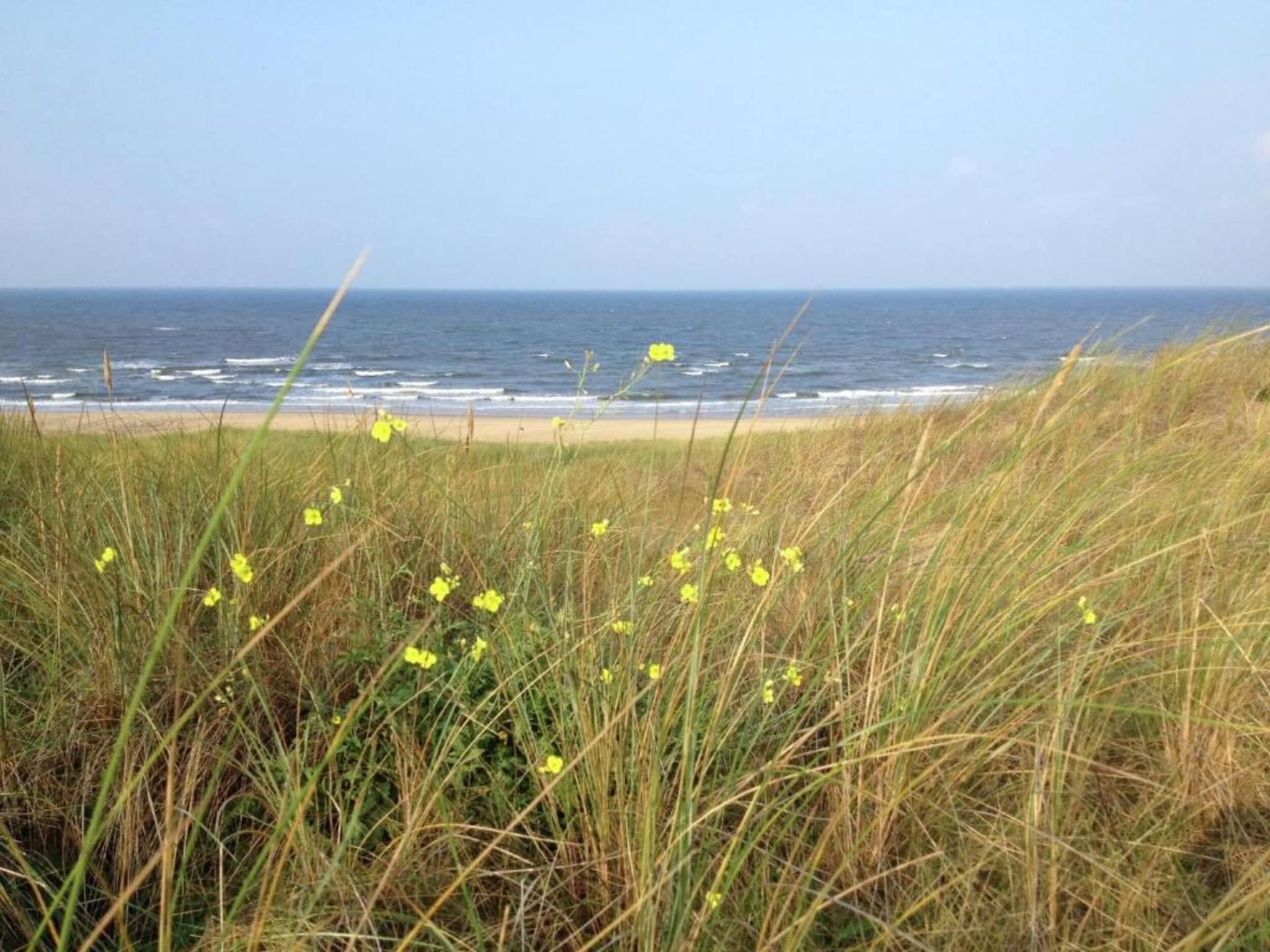 Huize Glory Saffier in Bergen aan zee - Foto 29 van 42