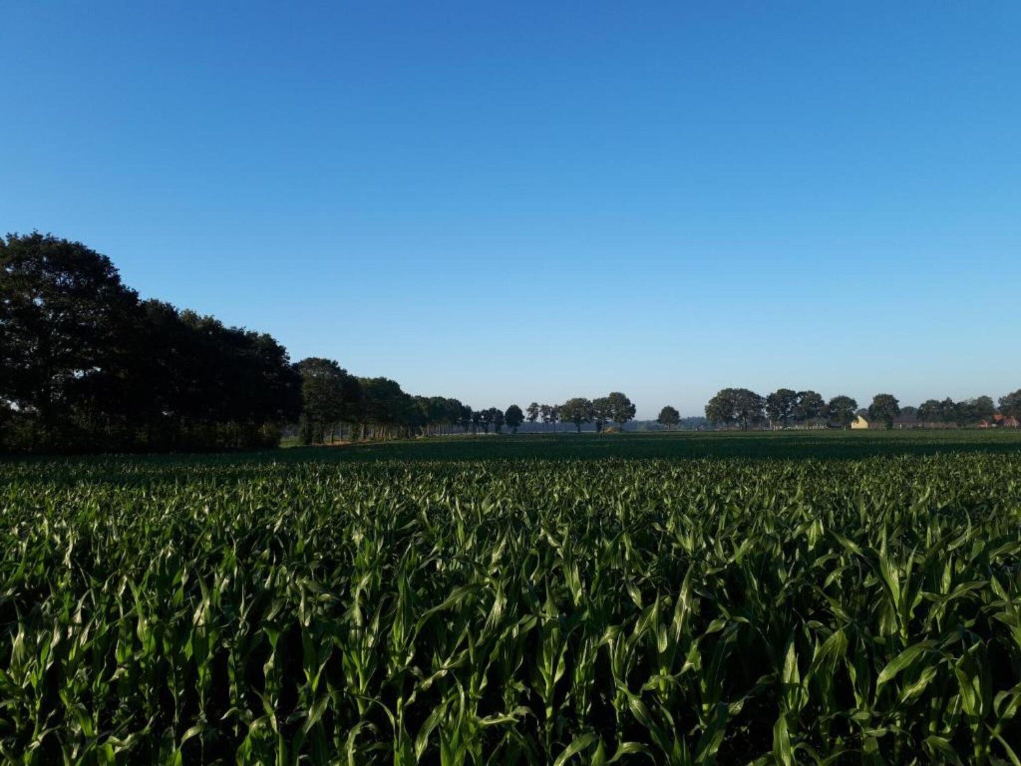 Buitenplaats Gerner 6 in Dalfsen - Foto 35 van 39
