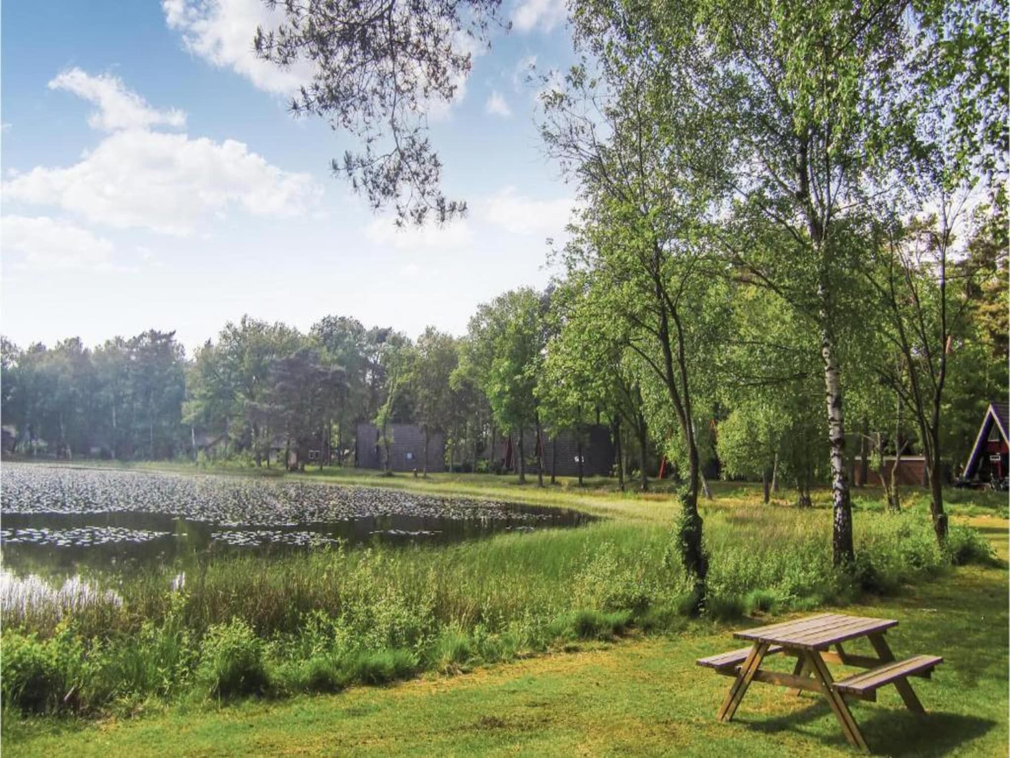 Vakantiepark Weerterbergen 5 in Weert - Foto 29 van 40