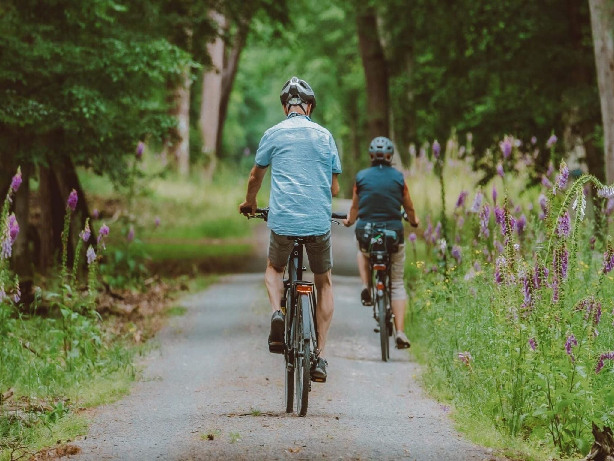 Parkfaciliteiten bij Recreatiepark de Boshoek 13 in Voorthuizen