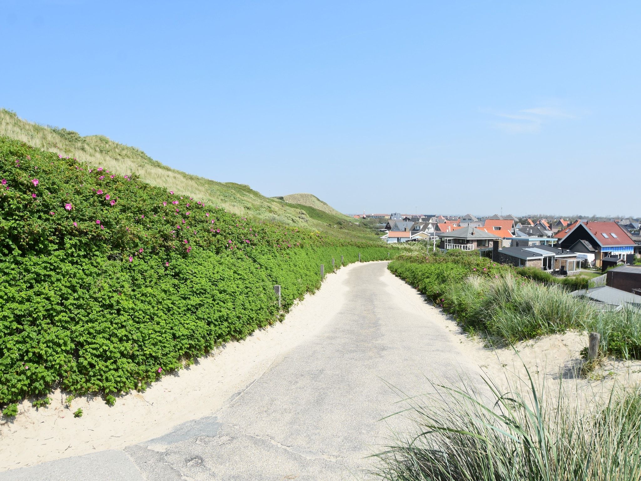 De omgeving van Hazenborgh - Zon in Callantsoog