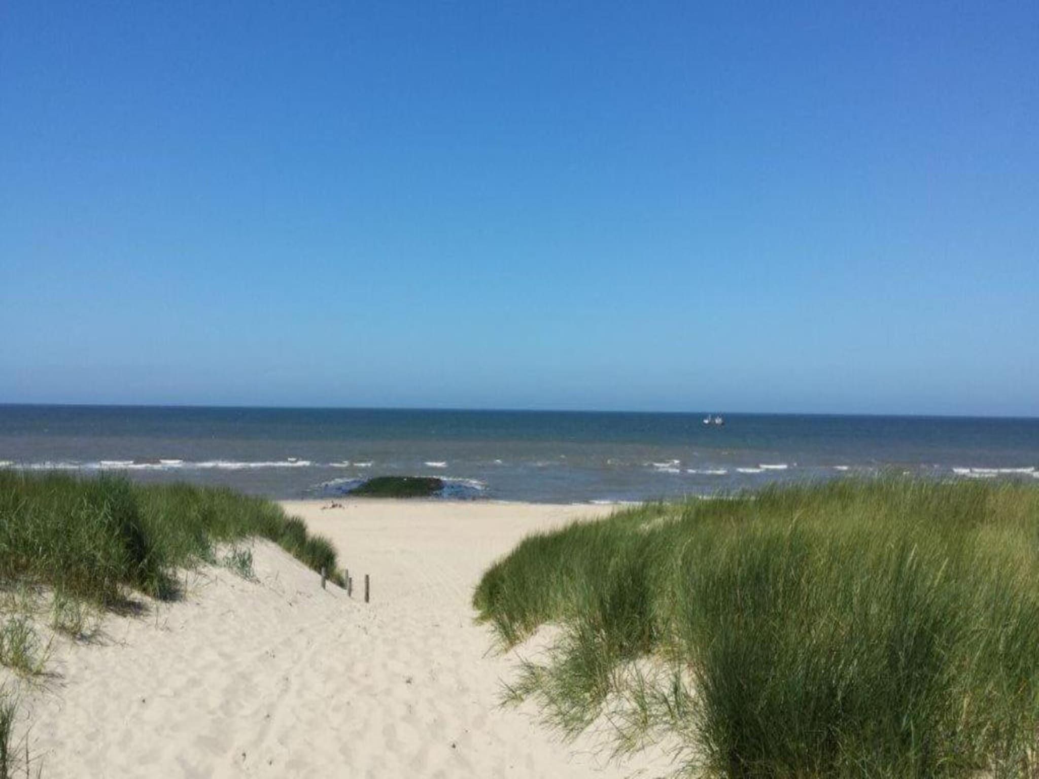Hazenborgh - Zon in Callantsoog - Foto 26 van 40