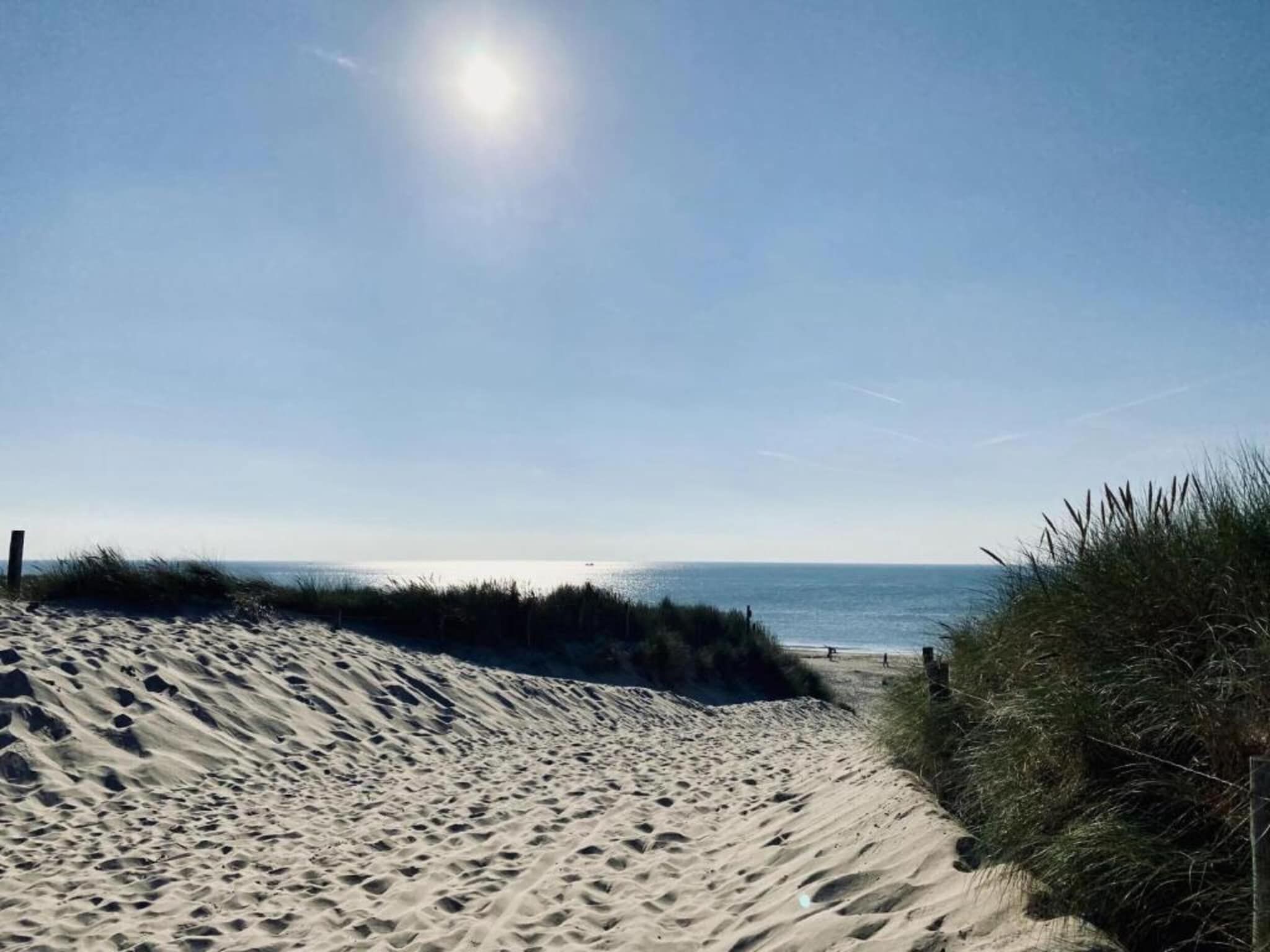 Hazenborgh - Zon in Callantsoog - Foto 37 van 40