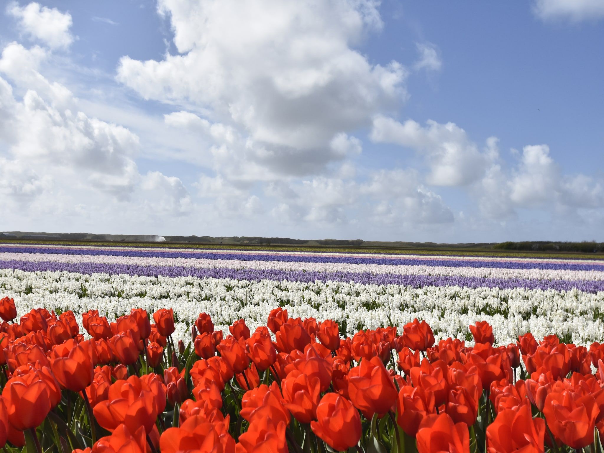 De omgeving van Hazenborgh - Studio Eb in Callantsoog