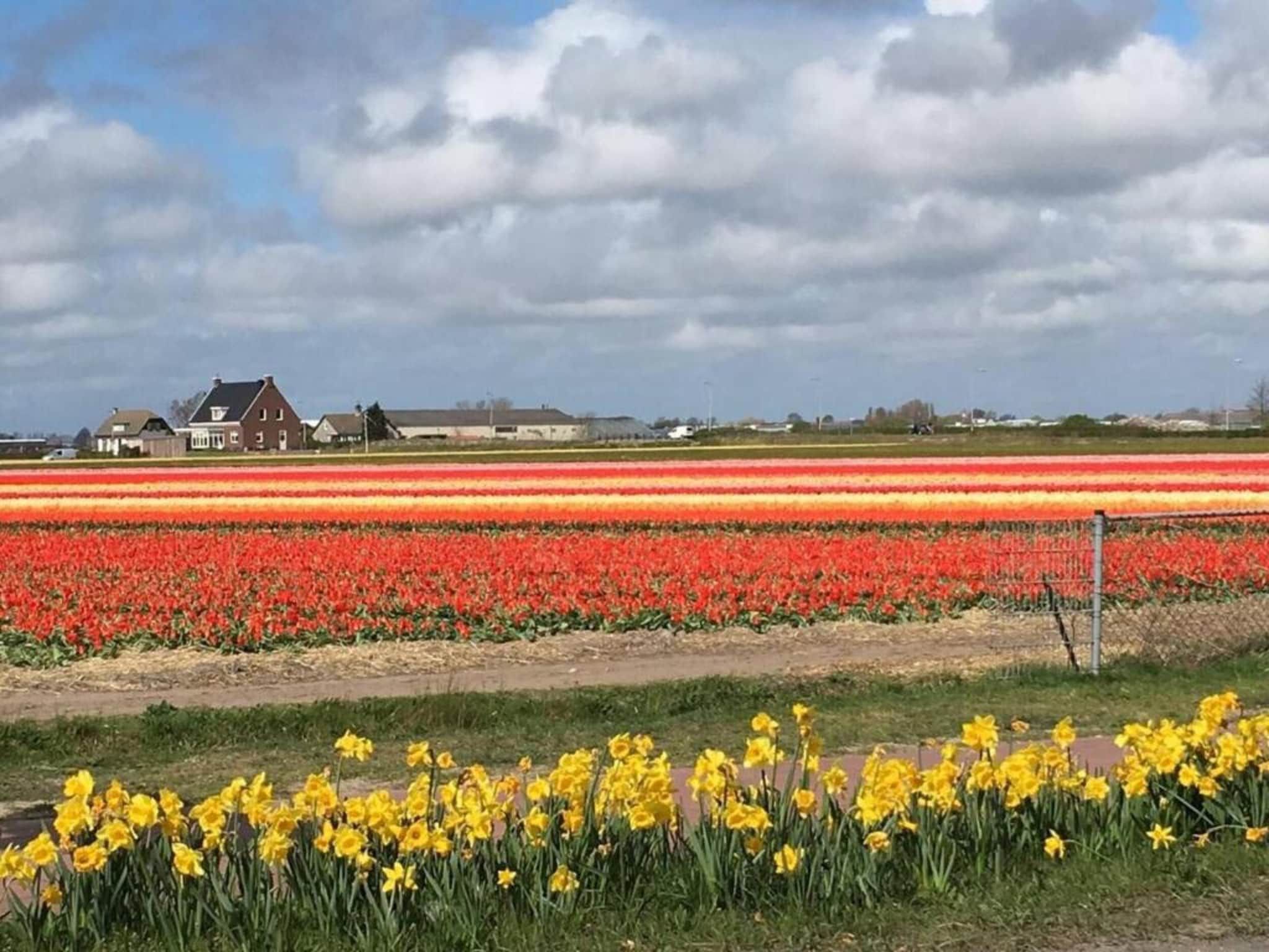 't Zeepaardje in Noordwijkerhout - Foto 40 van 40
