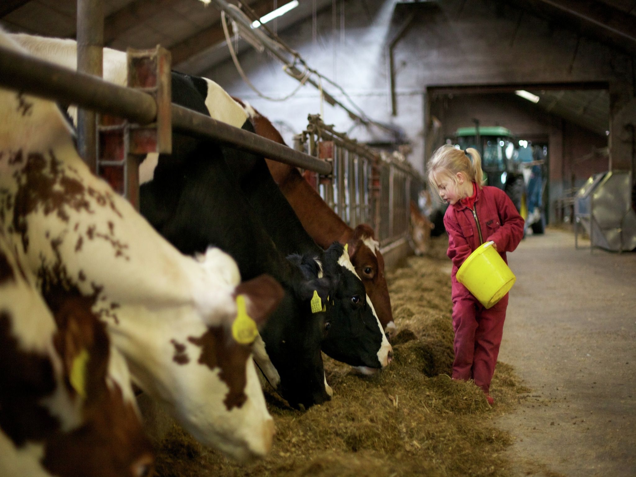 Parkfaciliteiten bij Koe in de Kost 2 in Heeten