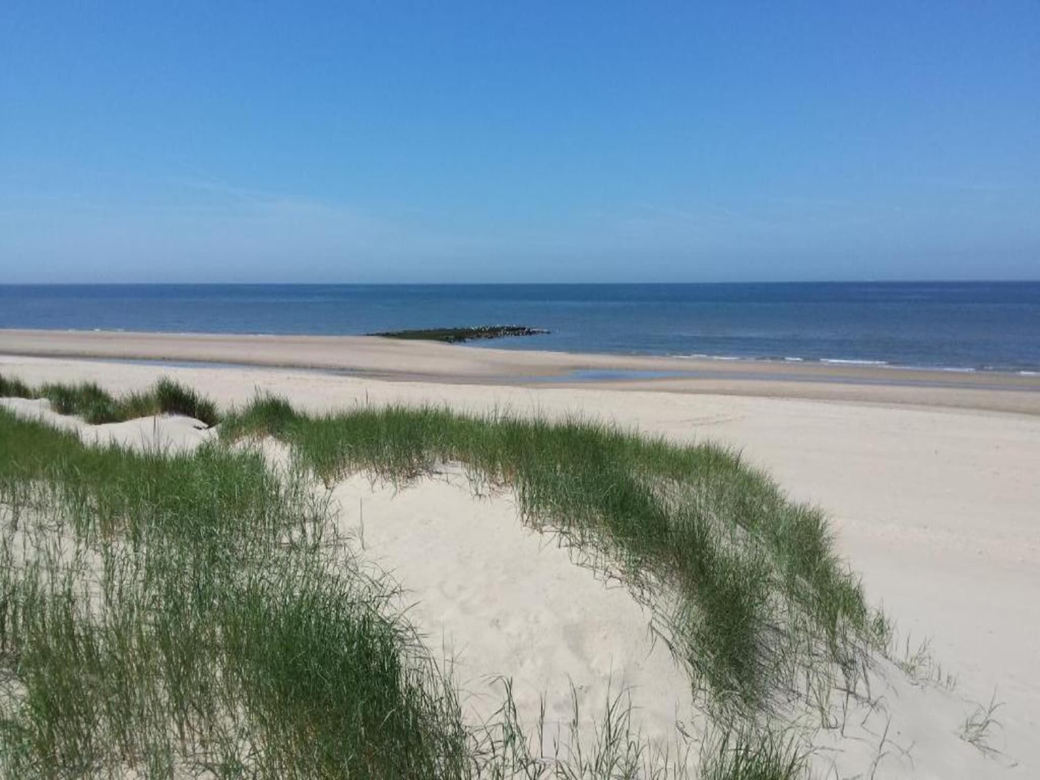 Zilte Bries in Callantsoog - Foto 26 van 35