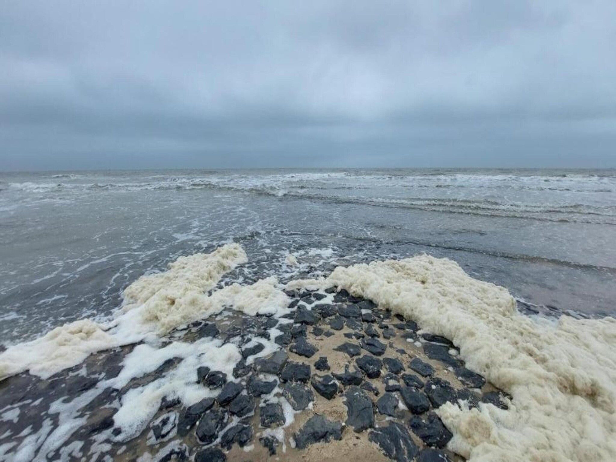 Zilte Bries in Callantsoog - Foto 33 van 35