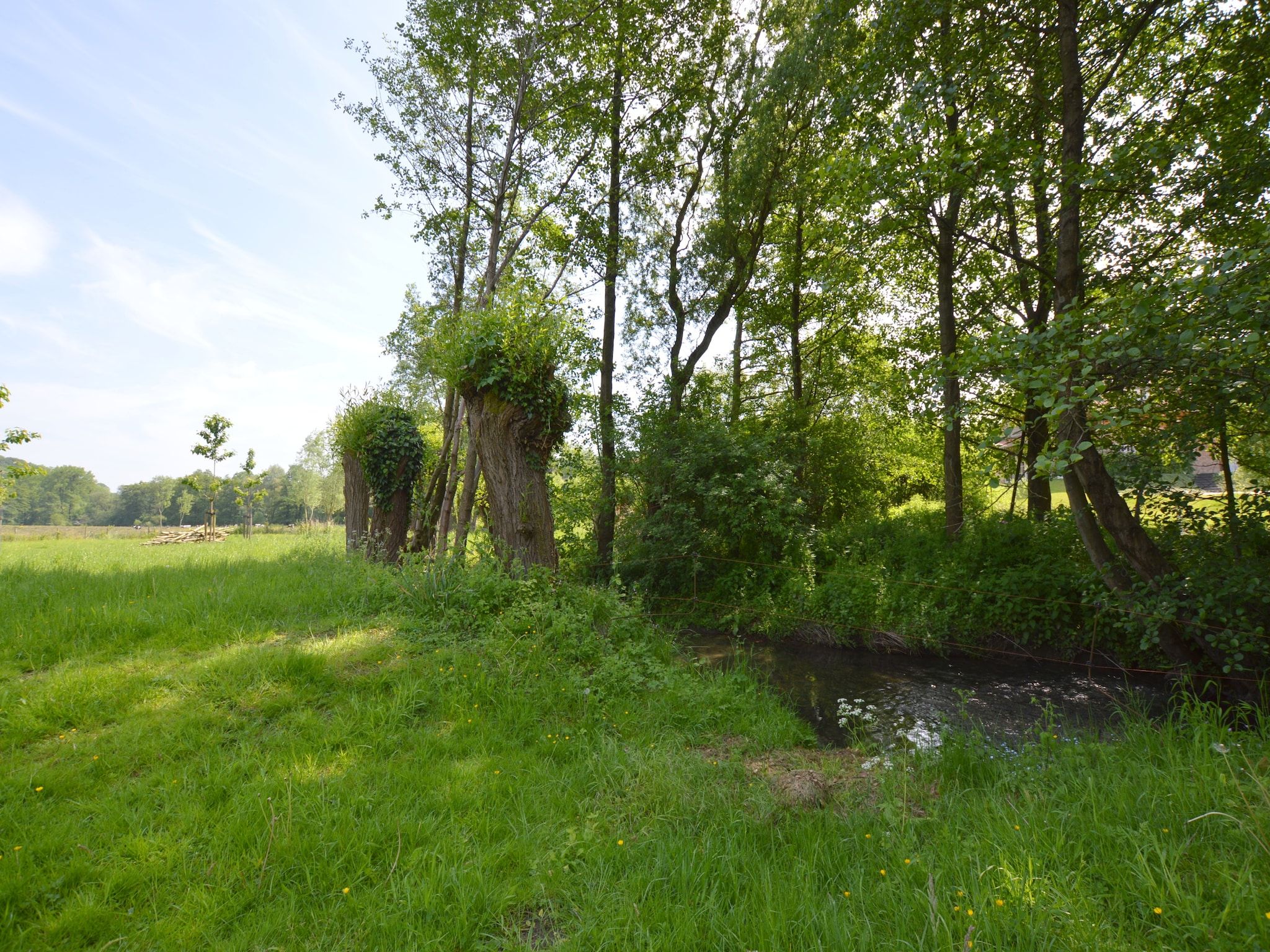 Hoeve A Gen Water- Donderblumke in Slenaken - Foto 22 van 40