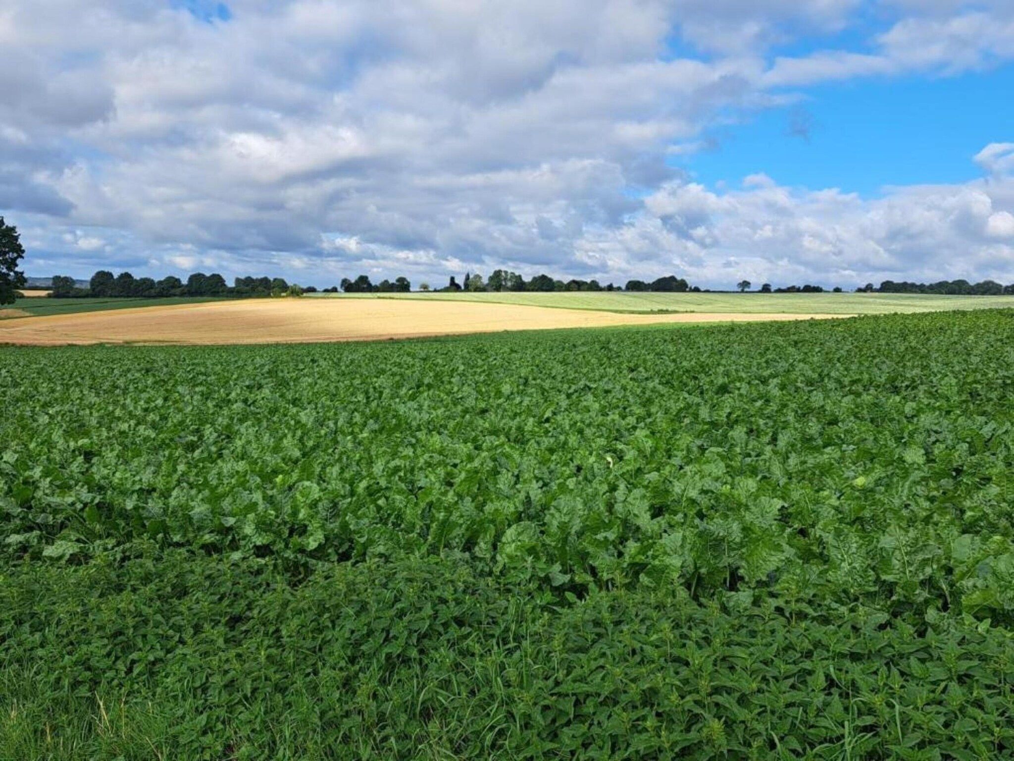 Hoeve A Gen Water- Donderblumke in Slenaken - Foto 31 van 40