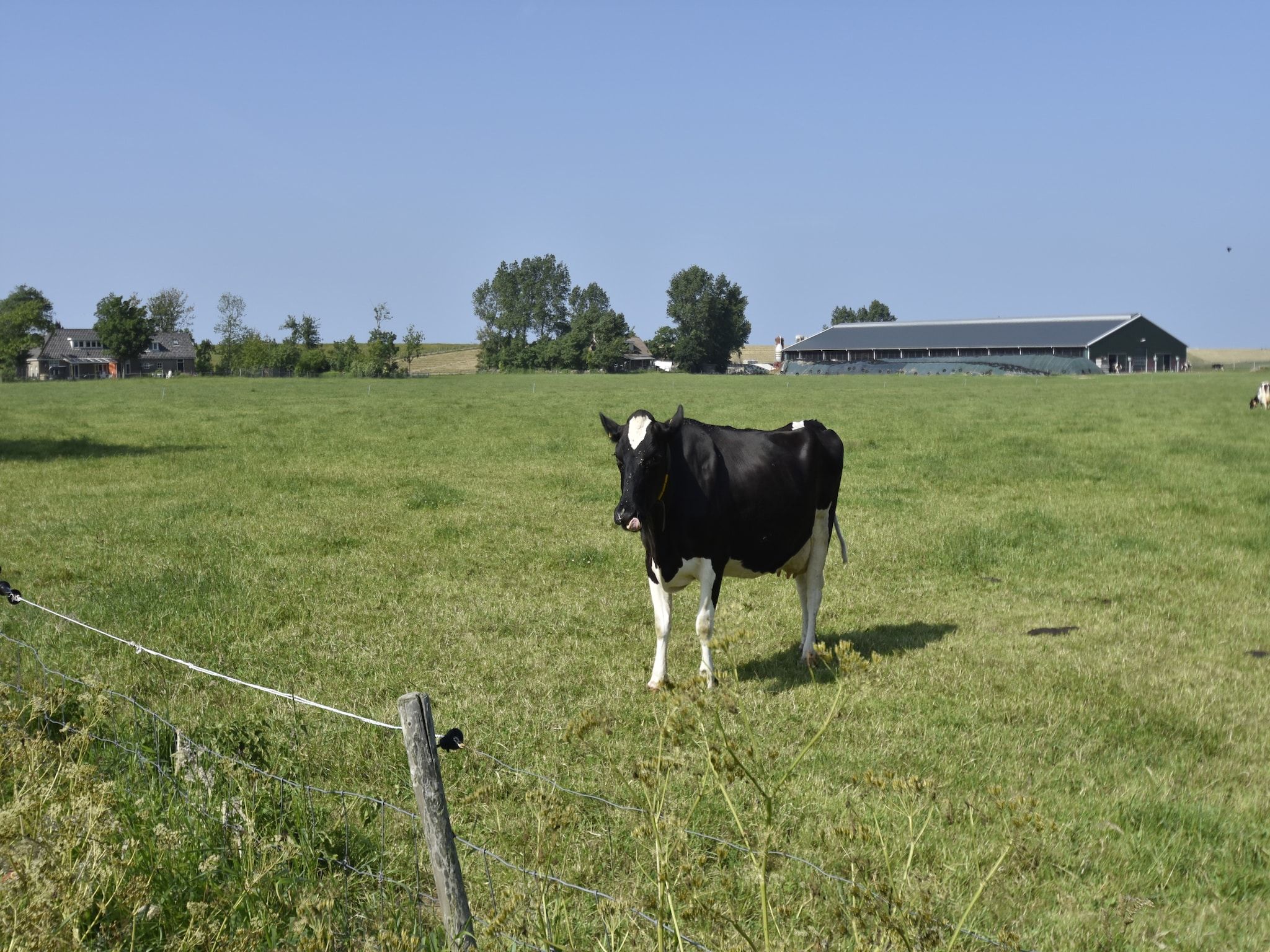 Het Hoge Noorden in Hippolytushoef - Foto 20 van 40