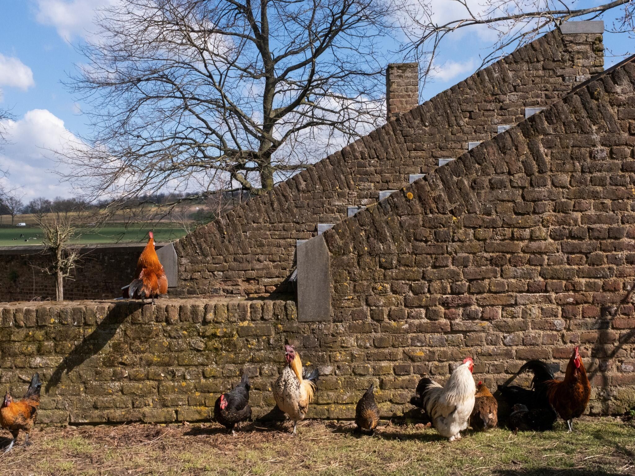 Voorzieningen bij Meschermolen 7 in Mesch-Eijsden