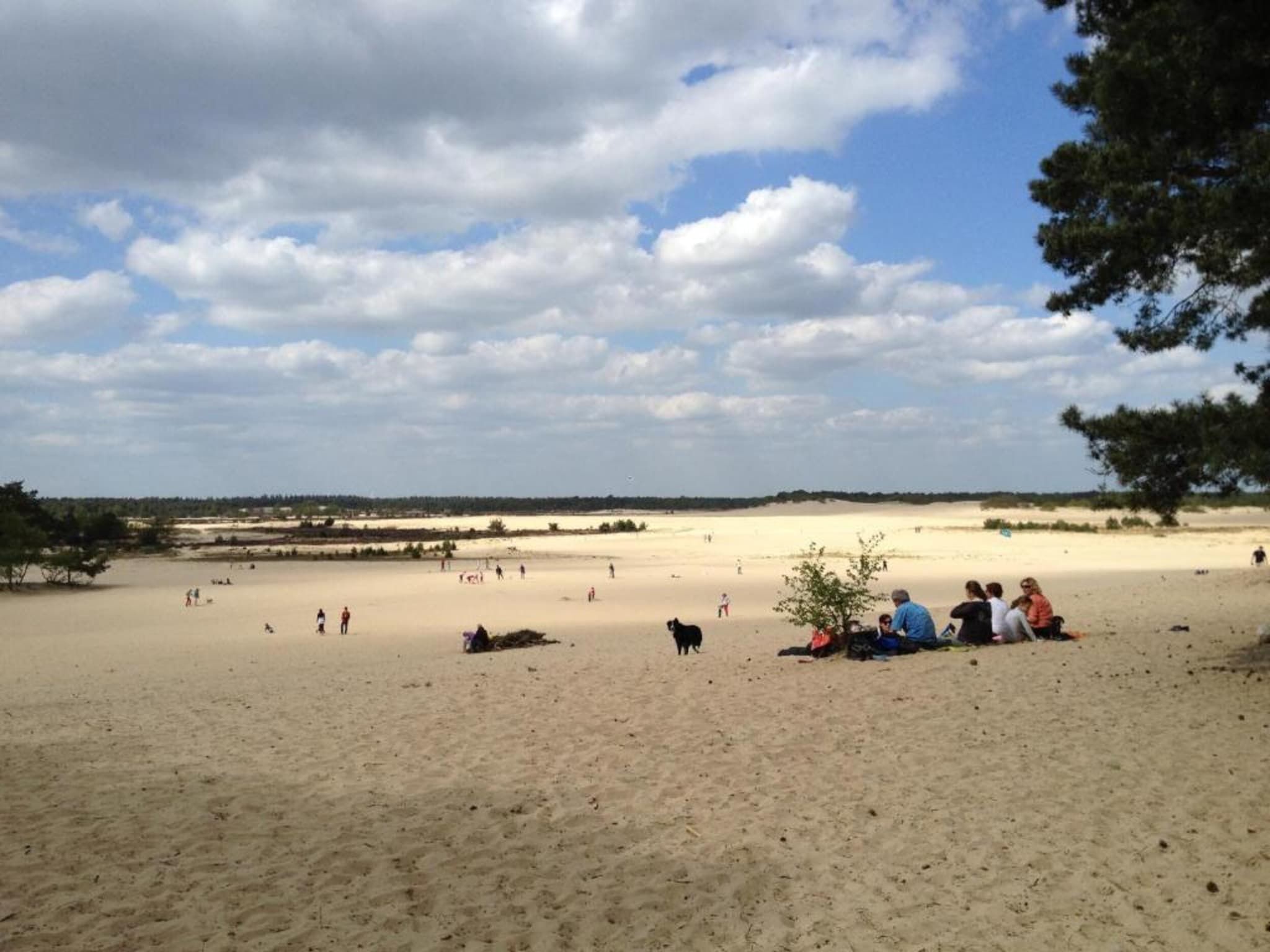 Recreatiepark Duinhoeve 13 in Udenhout - Foto 39 van 40