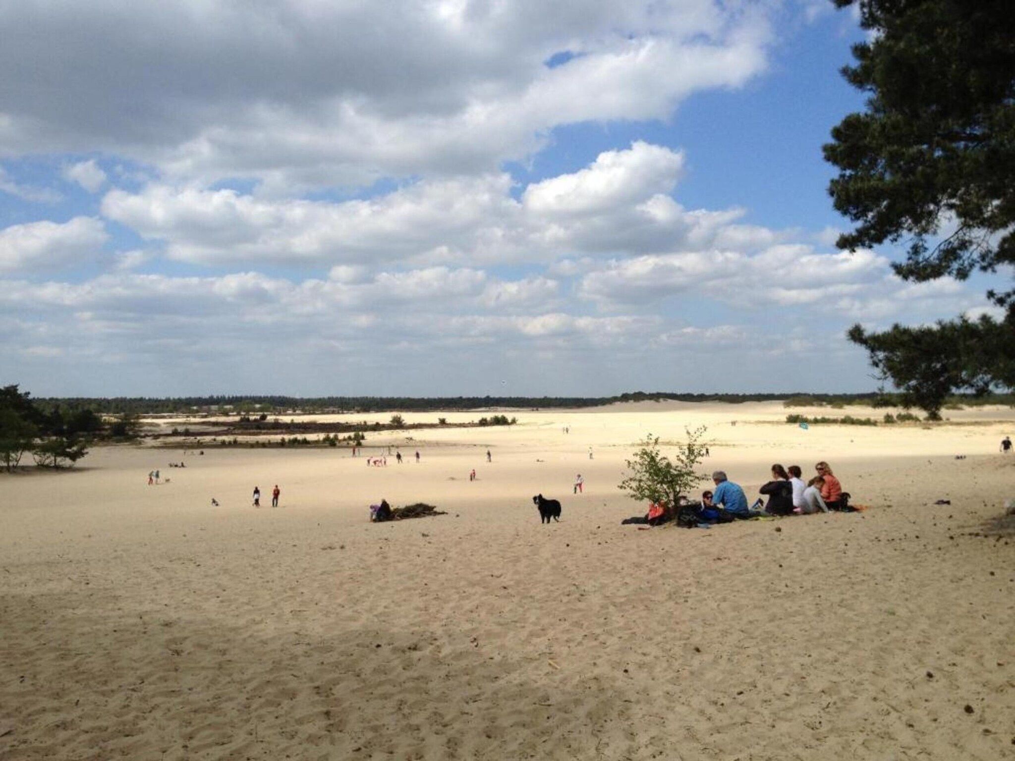 Recreatiepark Duinhoeve 14 in Udenhout - Foto 39 van 40