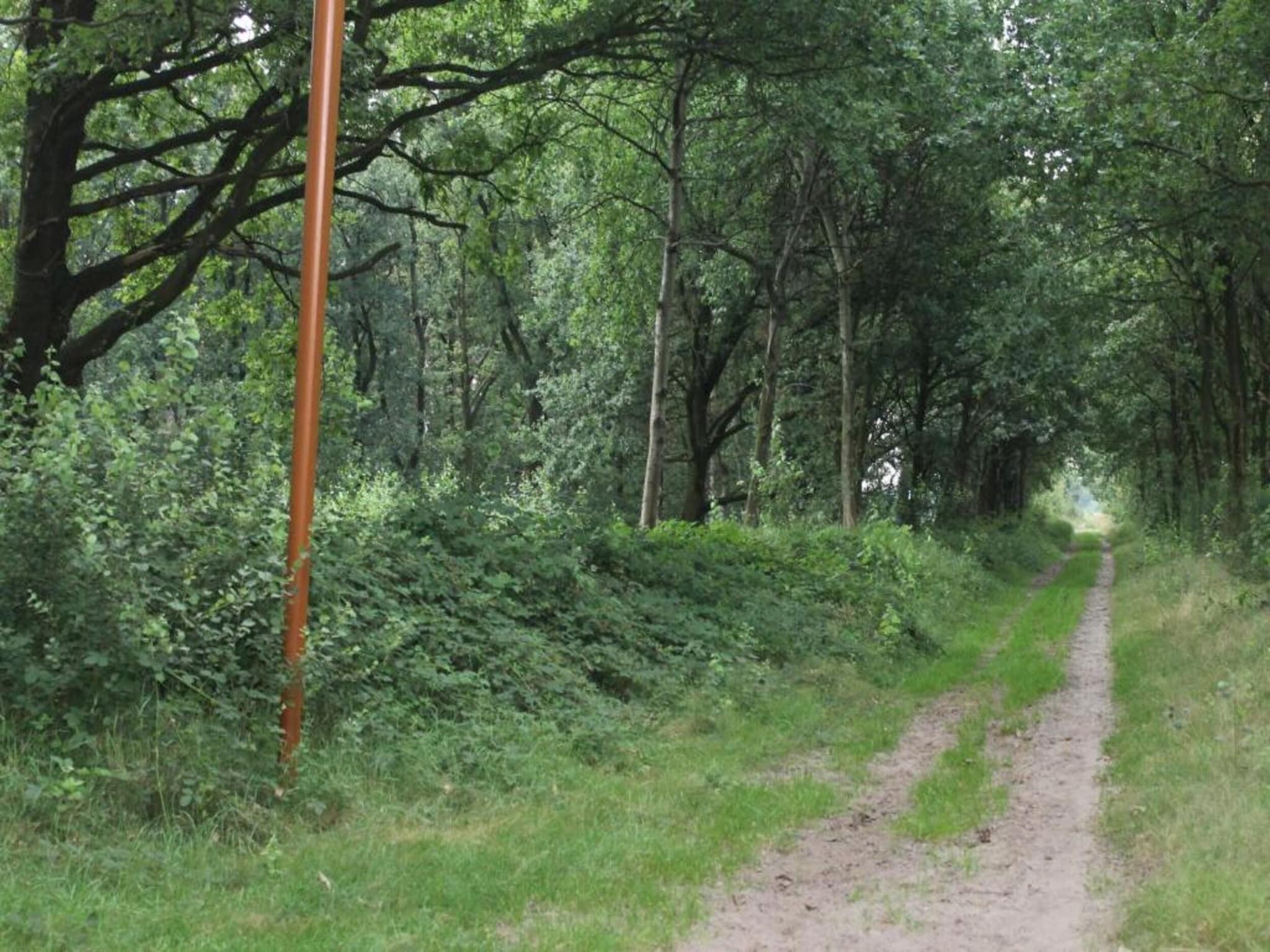 De omgeving van Vakantiepark de Katjeskelder 10 in Oosterhout