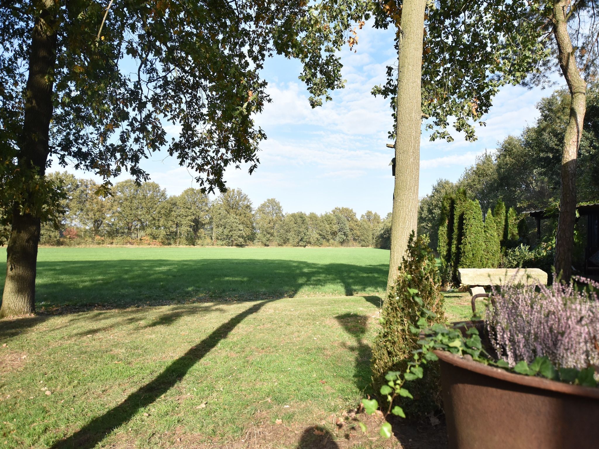 Het uitzicht vanaf Oarich Trechte in Reutum-Weerselo