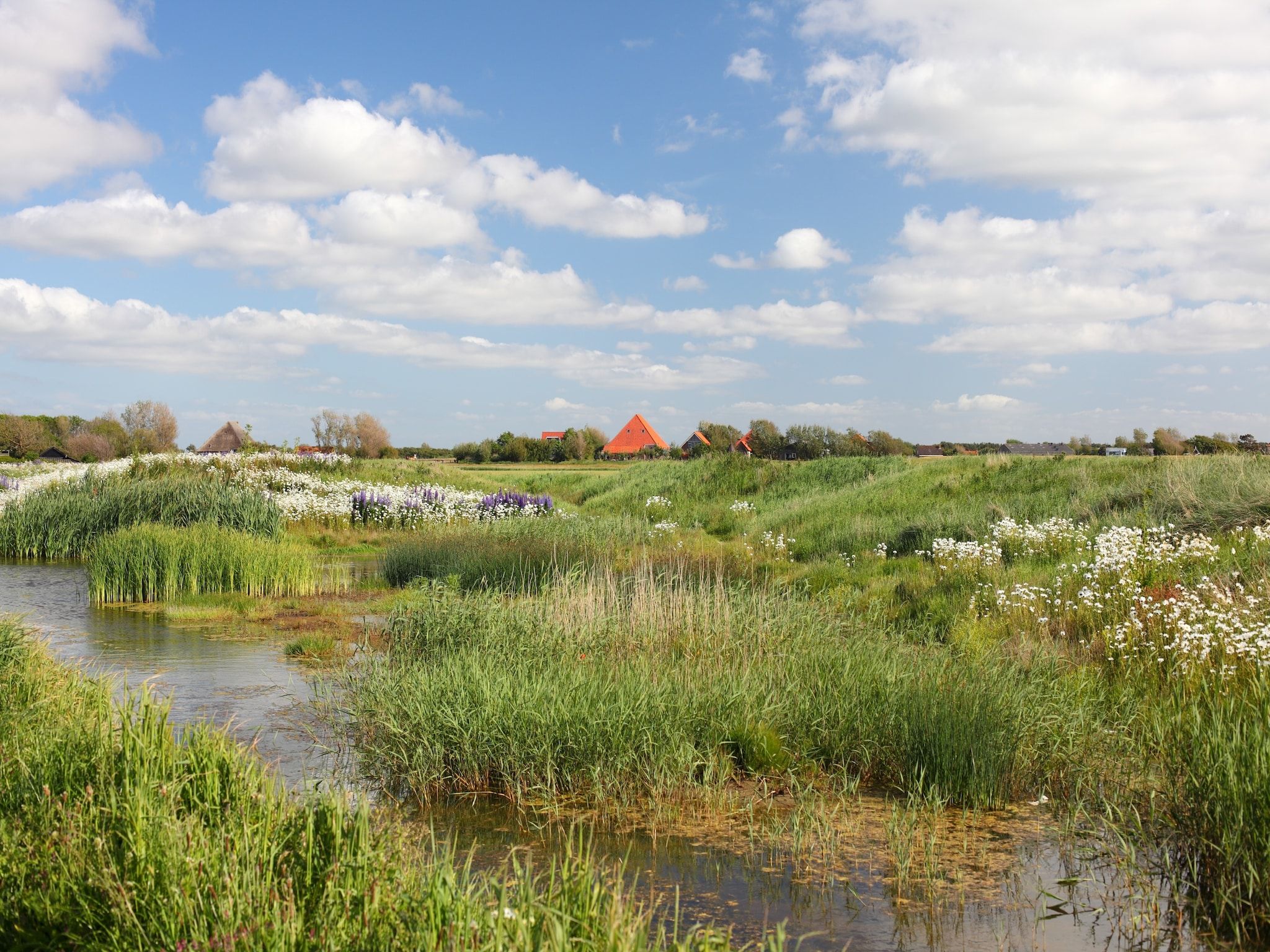 De omgeving van Vakantiepark Callassande 1 in Callantsoog