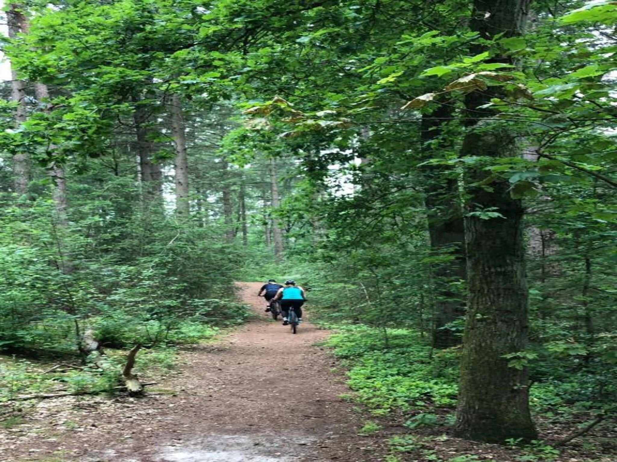 De omgeving van Bospark 't Wolfsven 8 in Mierlo