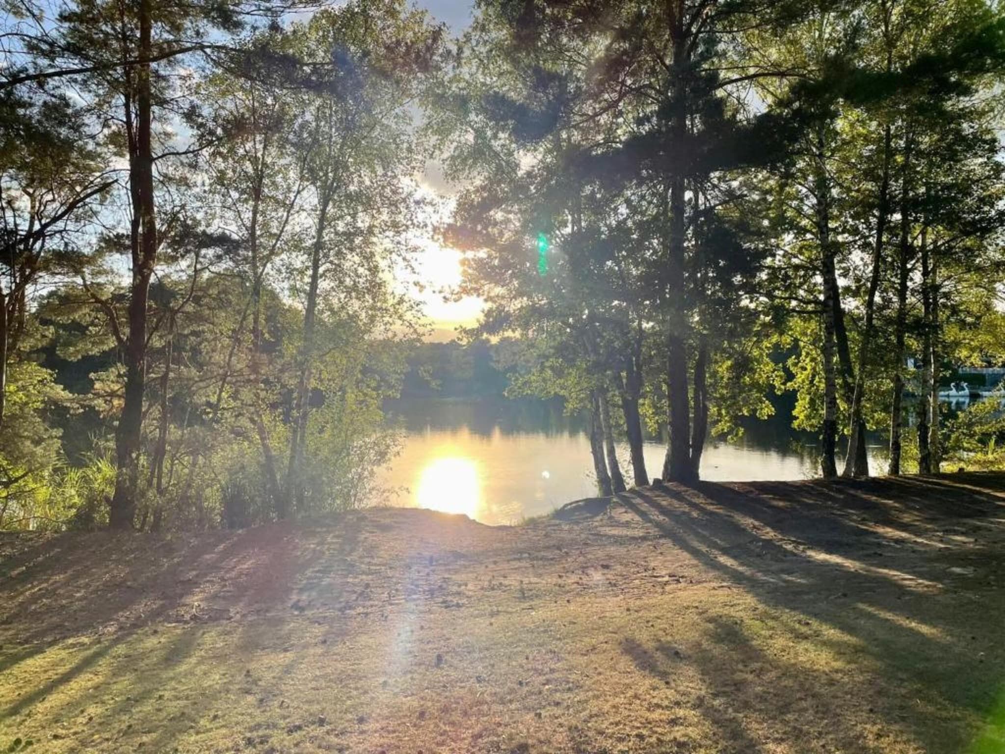 De omgeving van Bospark 't Wolfsven 8 in Mierlo