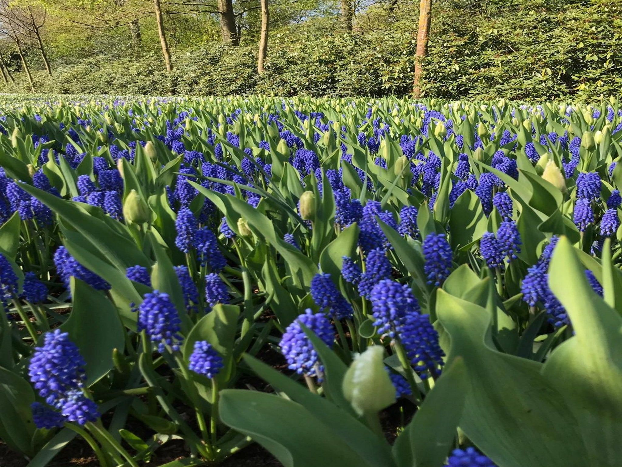 Scheveningen Harbour 66 in Scheveningen - Foto 40 van 40