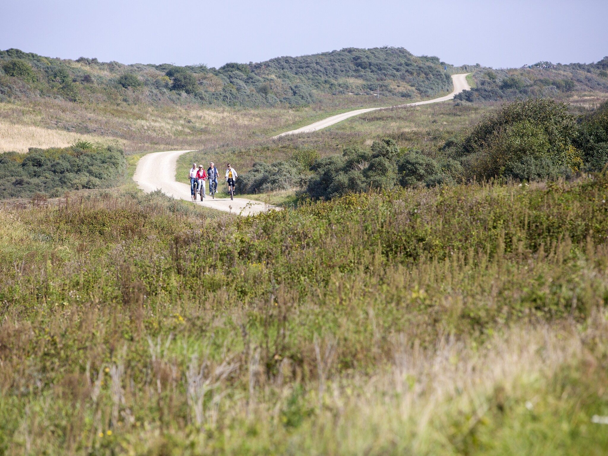 De omgeving van Strandpark Duynhille 2 in Ouddorp