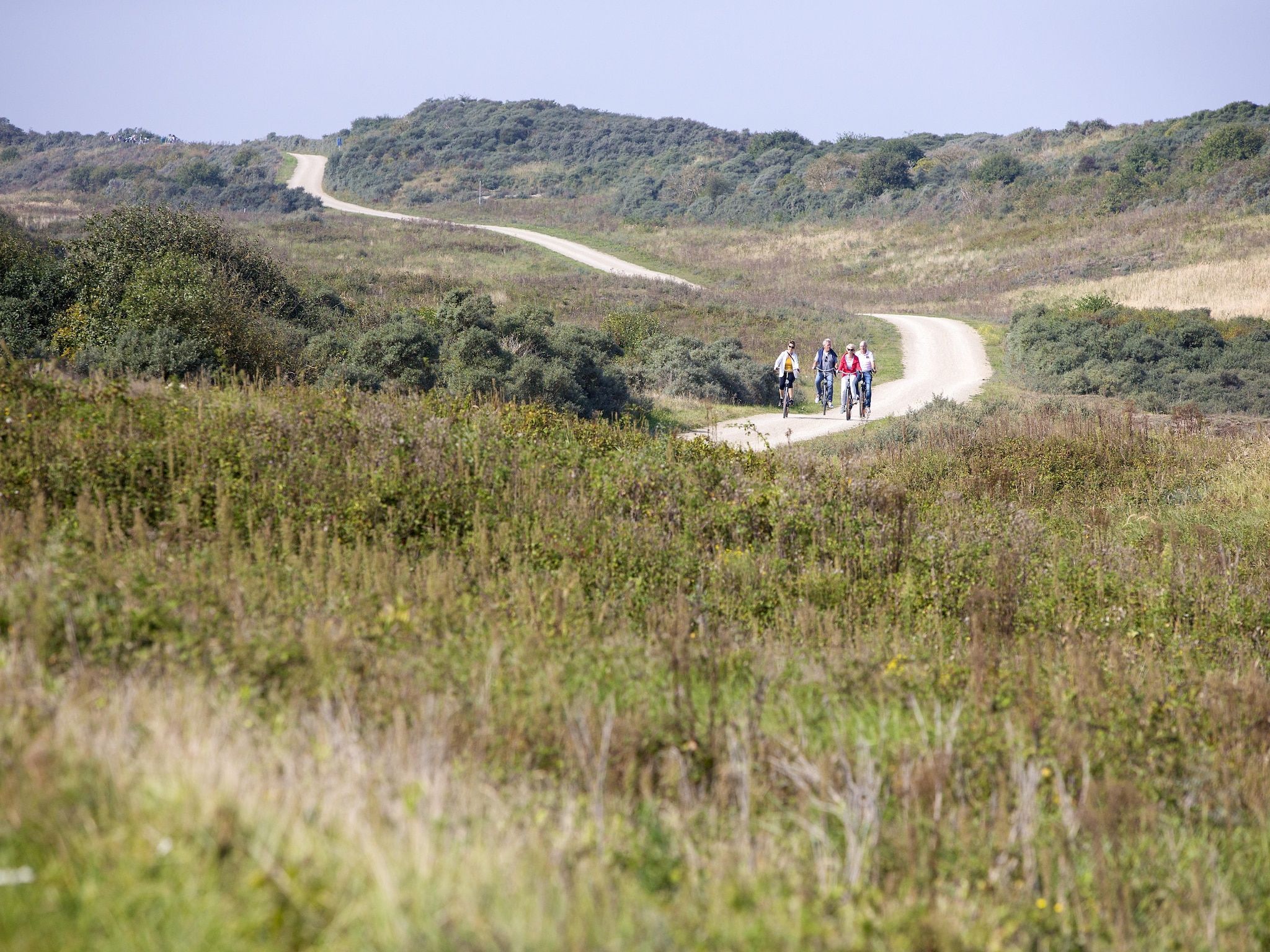 De tuin van Strandpark Duynhille 3 in Ouddorp