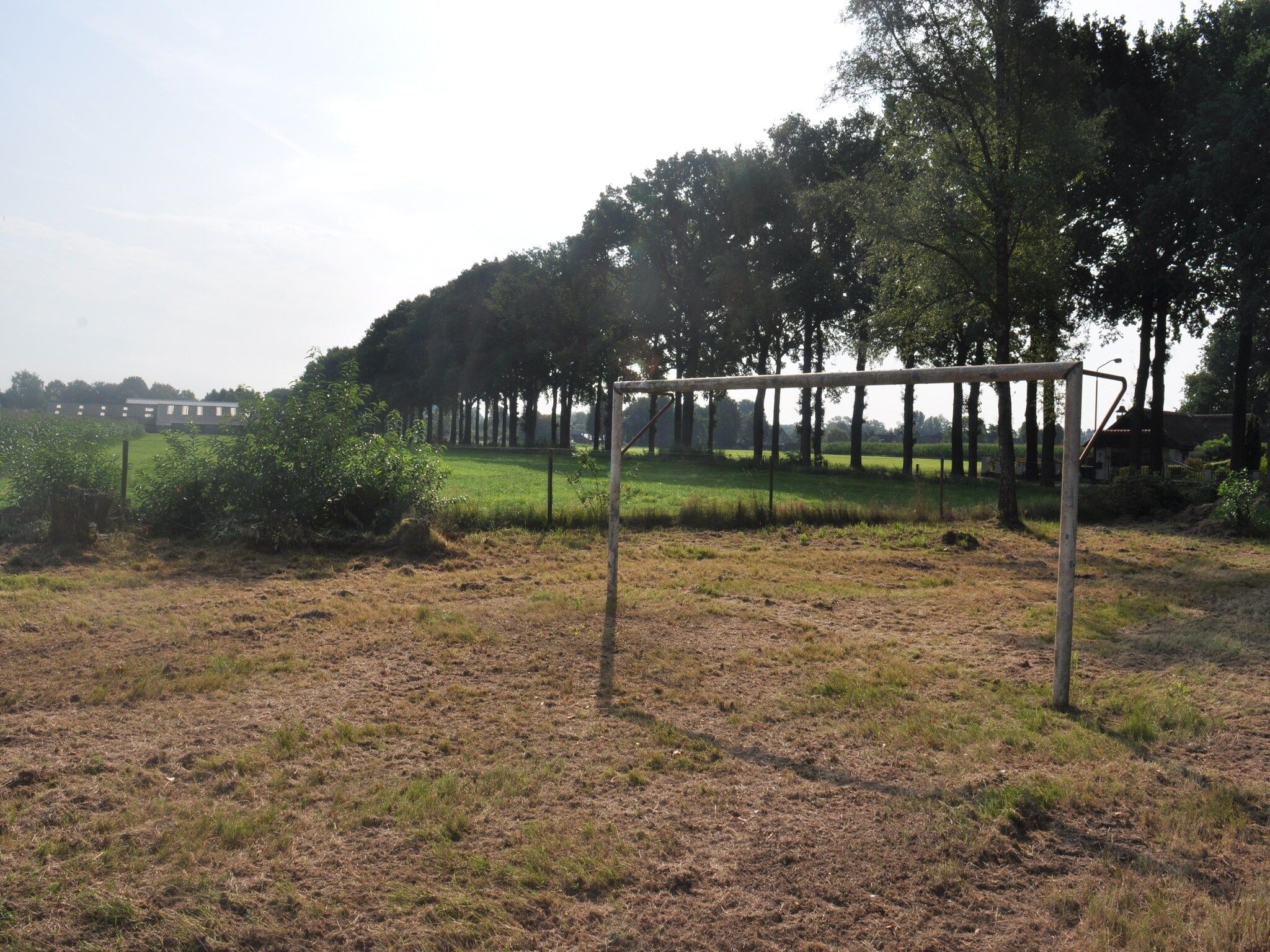 De tuin van Dorpswoning In het Bos in Leende