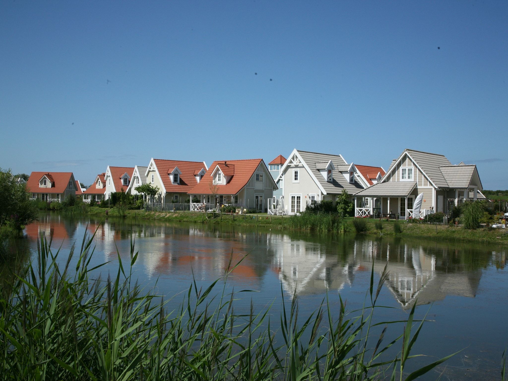 Vakantiepark De Heeren van 's Gravensande 2 in 's-Gravenzande - Foto 19 van 40