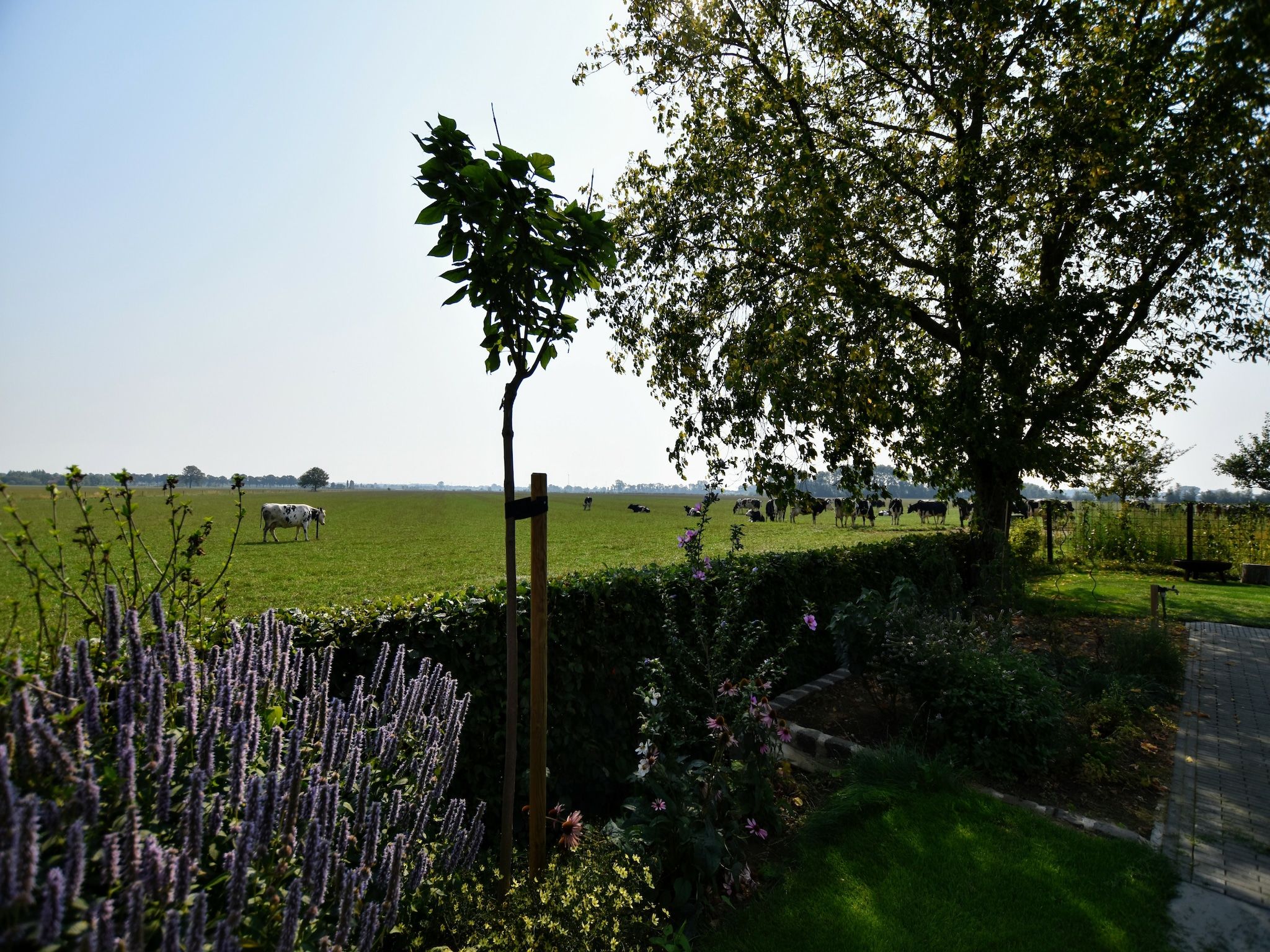 Het uitzicht vanaf Villa Grenszicht in Megchelen